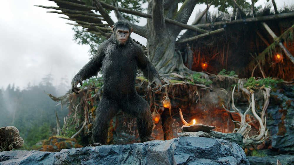 This photo released by Twentieth Century Fox Film Corporation shows Andy Serkis as Caesar in a scene from the film, "Dawn of the Planet of the Apes." (AP Photo/Twentieth Century Fox Film Corporation)