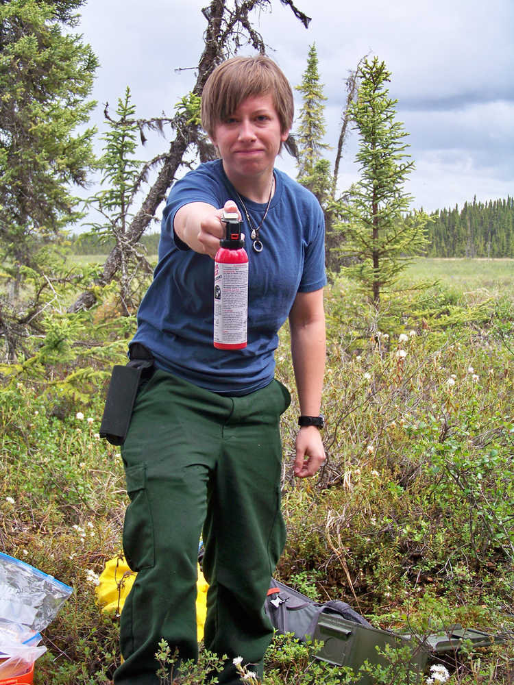 Spraying downward and in front of a charging bear is good technique for using bear deterrent spray.  Bear spray only works if you keep it handy so wear the holster on your belt or attached to a pack shoulder strap, but don't stuff it in a pack. (Photo courtesy Kenai National Wildlife Refuge)
