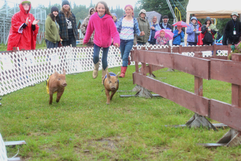 Kenai Peninsula State Fair Celebrates 67 Years This Weekend Peninsula   5970416 Web1 MP Fair12 081817 1024x683 