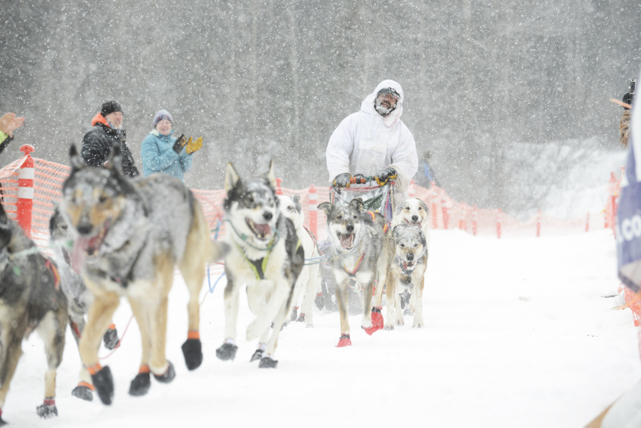 Big Lake musher Cim Smyth nears the finish line of the Tustumena 200 Sled Dog Race with his team Sunday, Jan. 29, 2017 in Kasilof, Alaska. Smyth claimed his fourth T200 win, completing the race through the Caribou Hills in just over 26 hours. (Megan Pacer/Peninsula Clarion)