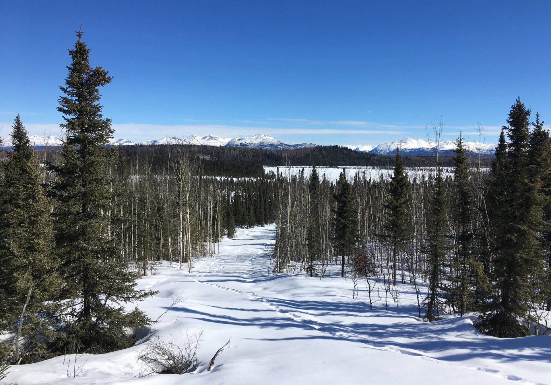 Refuge Notebook Breaking In Marsh Lake Trail Peninsula Clarion