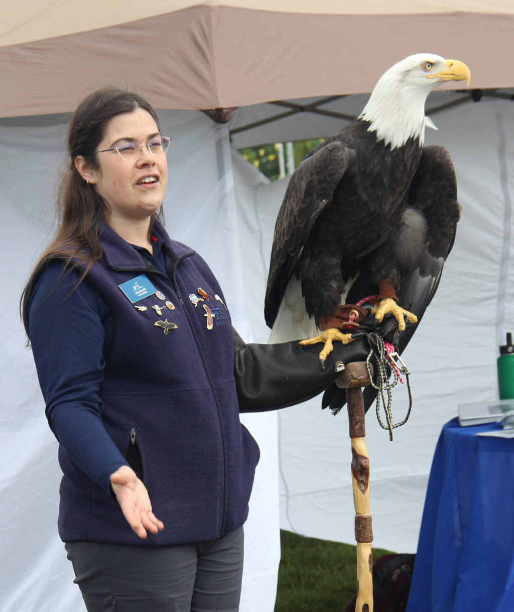 Kenai River Festival offers something for everyone Peninsula Clarion