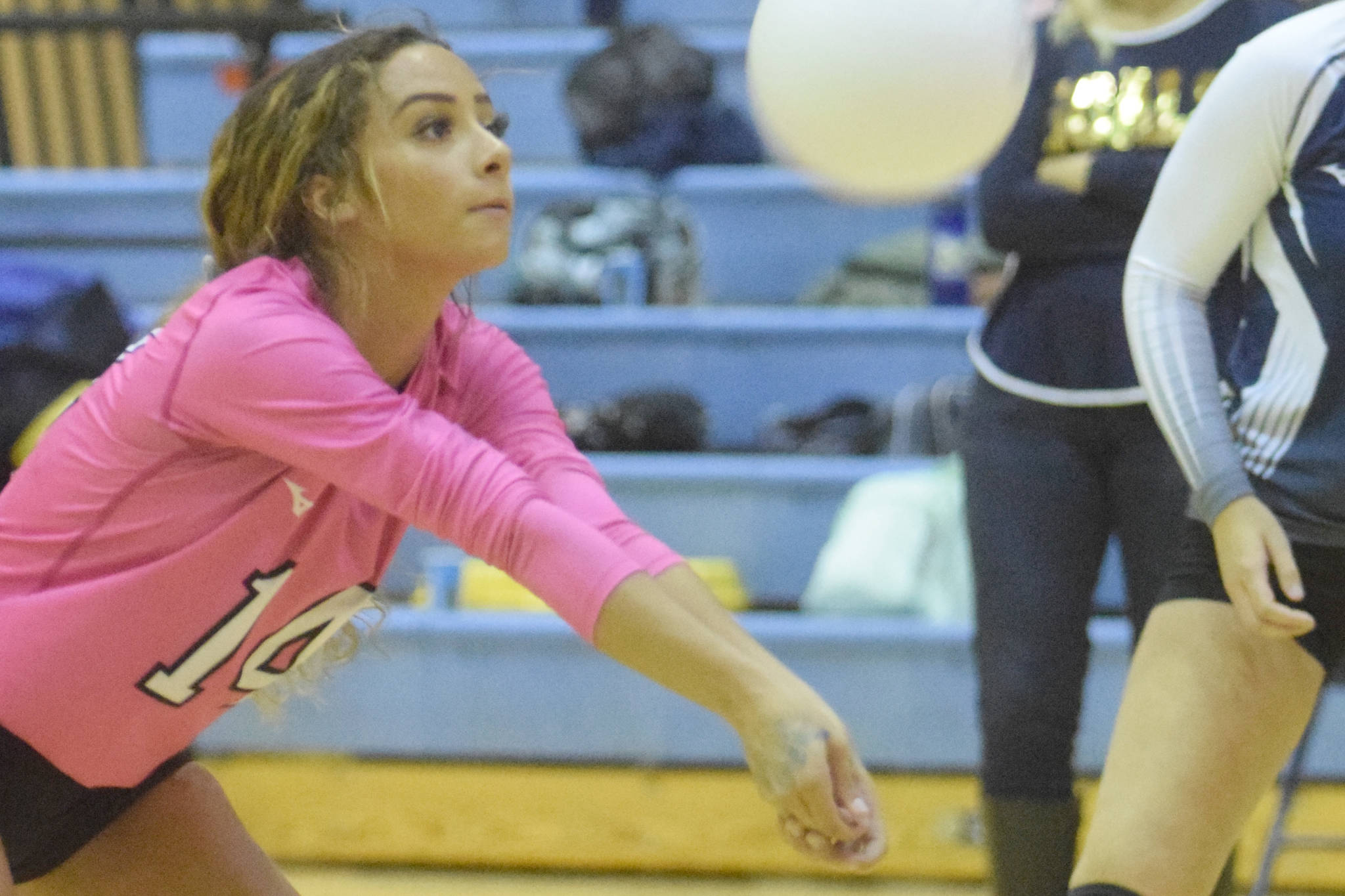 Soldotna libero Holleigh Jaime bumps the ball Tuesday, Sept. 18, 2018, against Homer at Soldotna High School. (Photo by Jeff Helminiak/Peninsula Clarion)