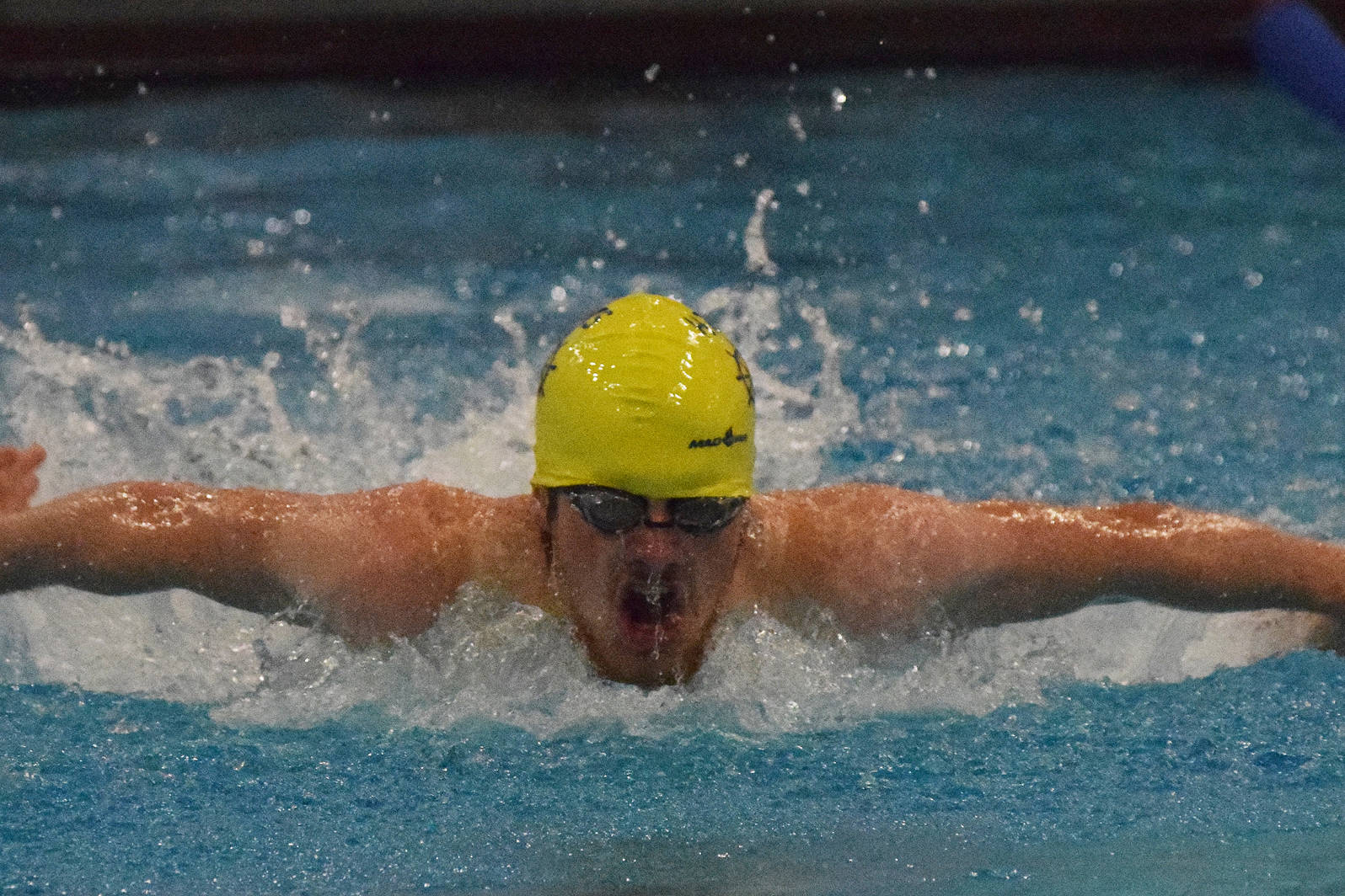 NLC swimming: Stars look to interrupt Kodiak’s dominance