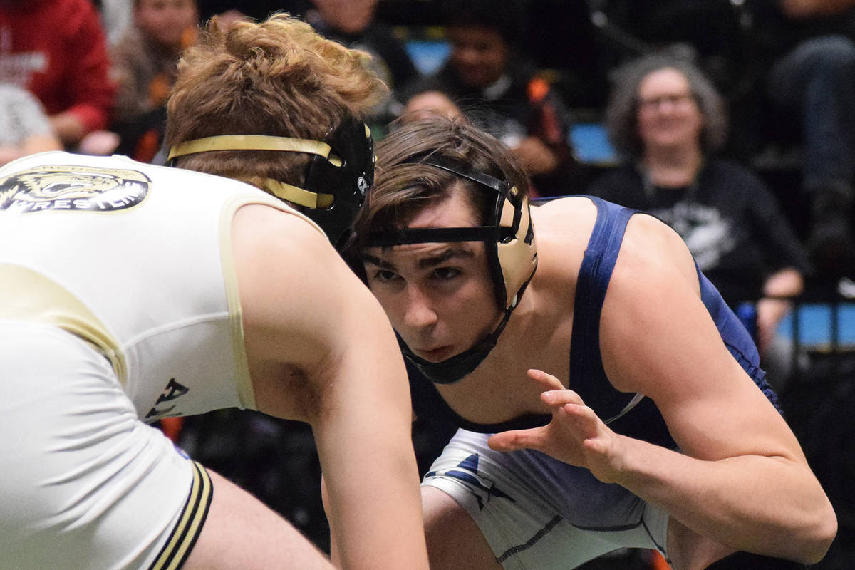 State wrestling sees final Hutchison appearance; Homer boys capture state title