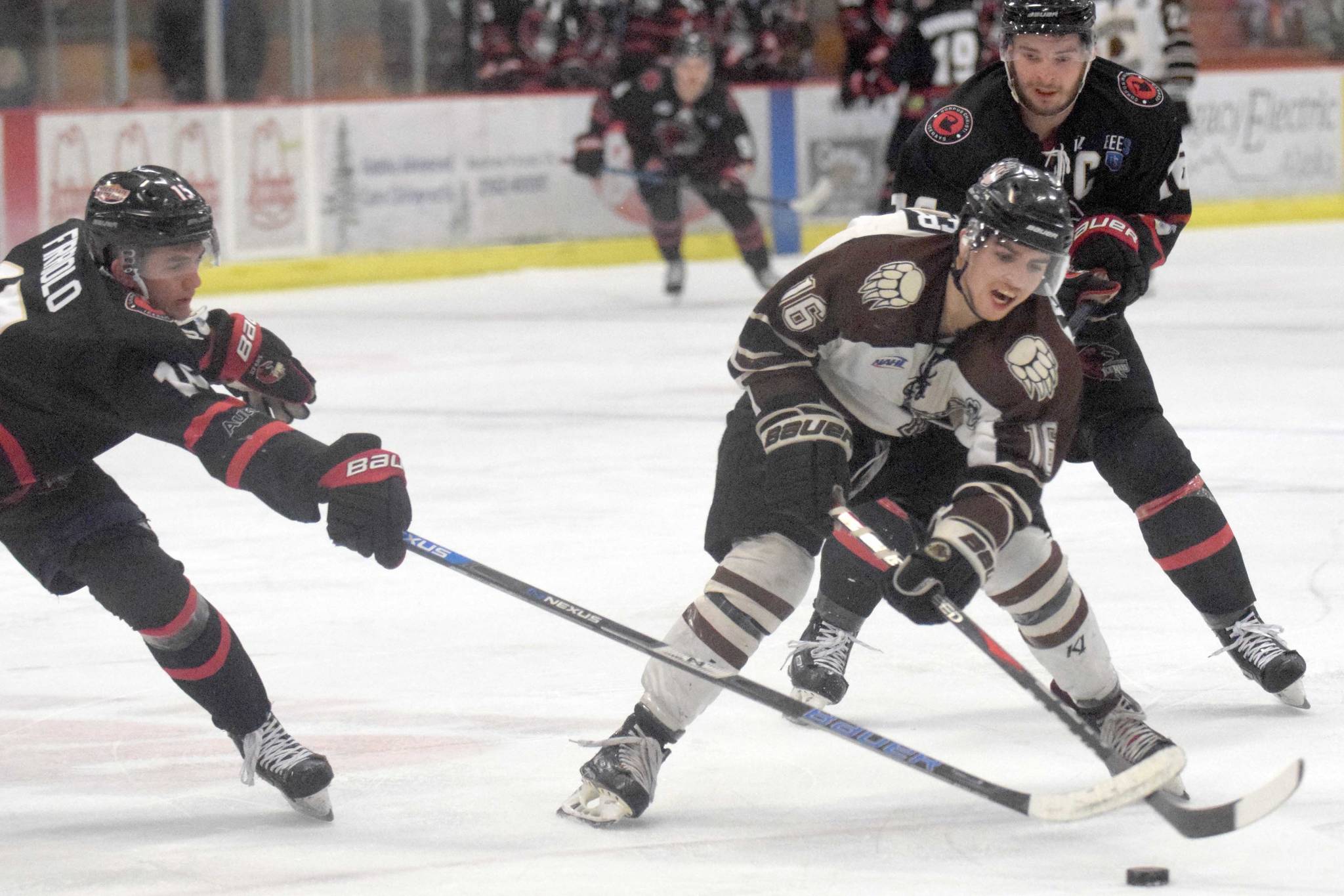 Brown Bears forward Andy Walker carries the puck between Corpus Christi’s Anthony Firriolo and Kyle Moore on Friday, Feb. 8, 2019, at the Soldotna Regional Sports Complex. (Photo by Jeff Helminiak/Peninsula Clarion)