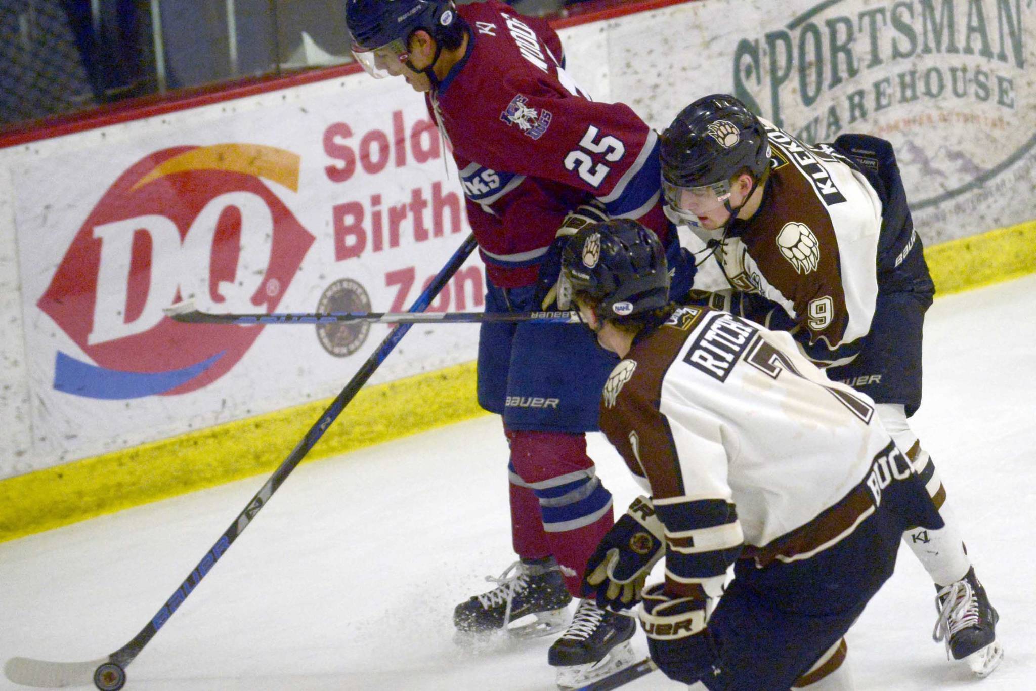 Ice Dogs defeat Brown Bears