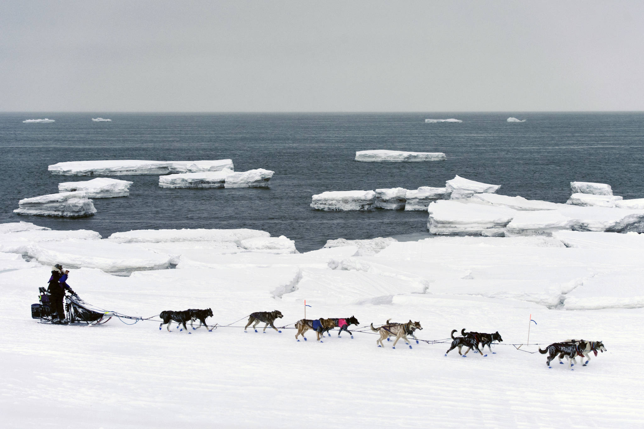 In this March 13, 2019, file photo, Jessie Royer passes icebergs in open water on Norton Sound as she approaches Nome, Alaska, in the Iditarod trail sled dog race. When a Feb. 22 storm pounded Norton Sound, water surged up the Yukon River and into Kotlik, flooding low-lying homes. The Bering Sea last winter saw record-low sea ice. Climate models predicted less ice, but not this soon, said Seth Danielson, a physical oceanographer at the University of Alaska Fairbanks. (Marc Lester/Anchorage Daily News via AP, File)