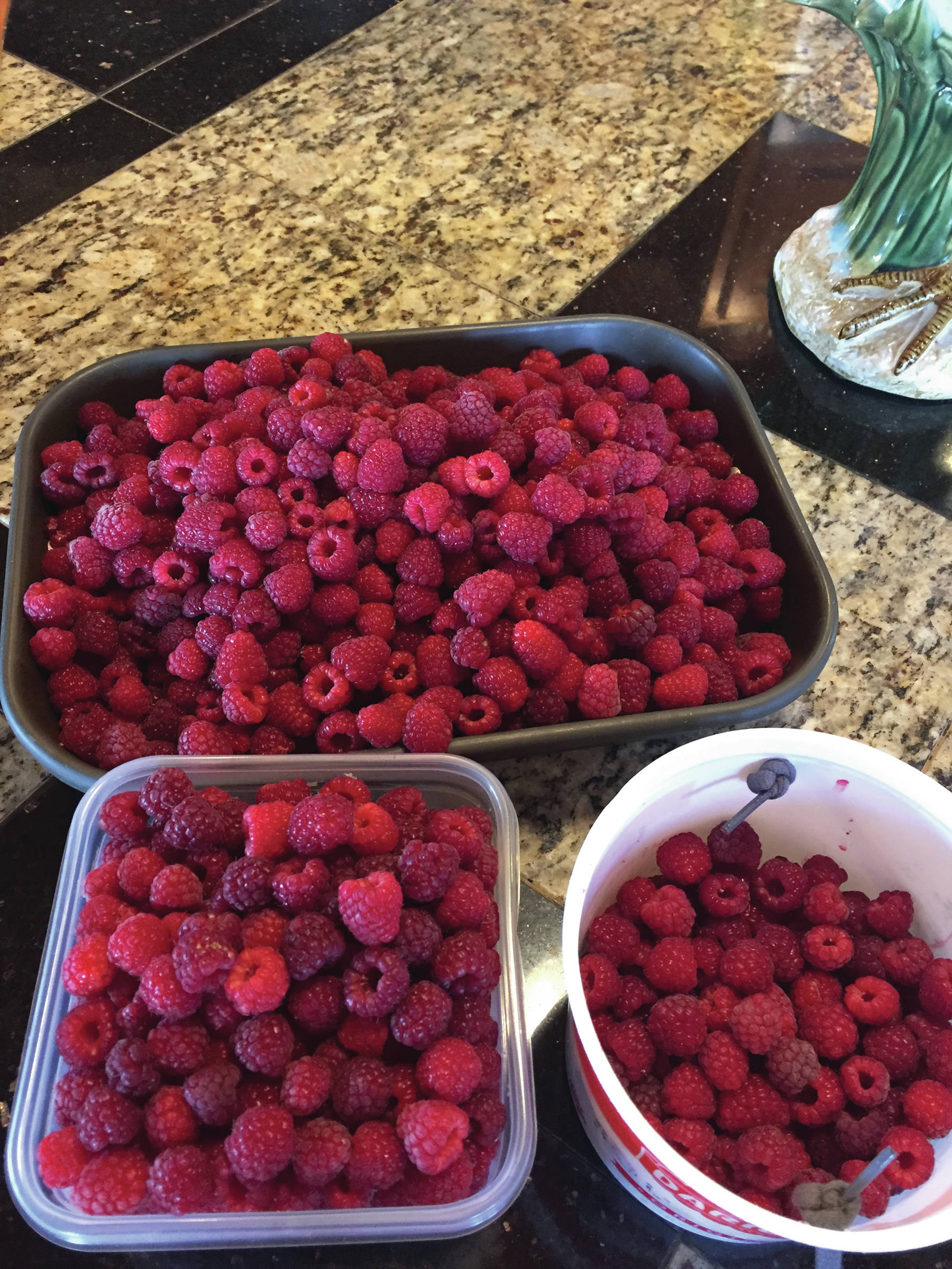 Kachemak Cuisine: Unusual hot days call for cool treat like Raspberry Swamp Pie