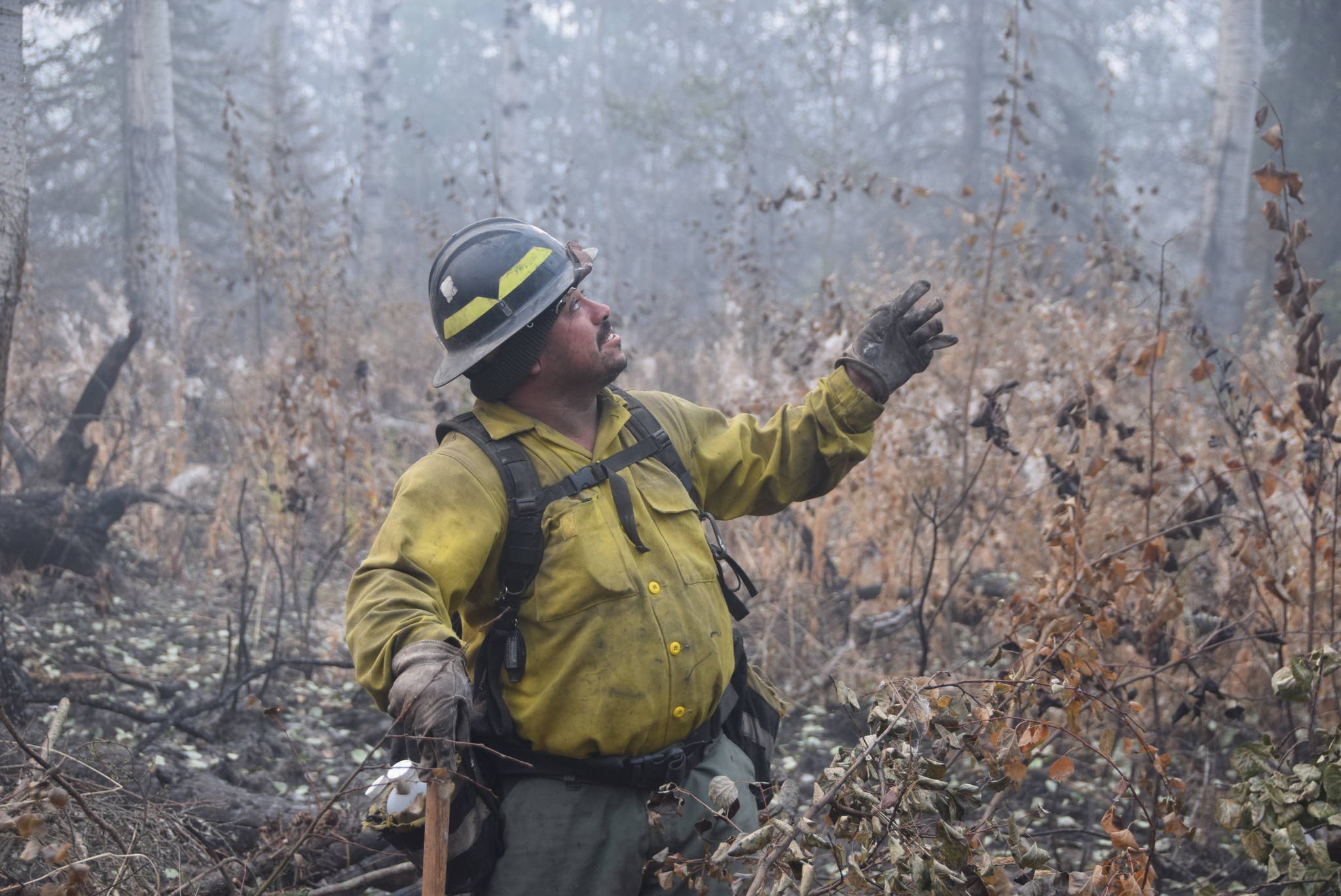 Faces of the fire