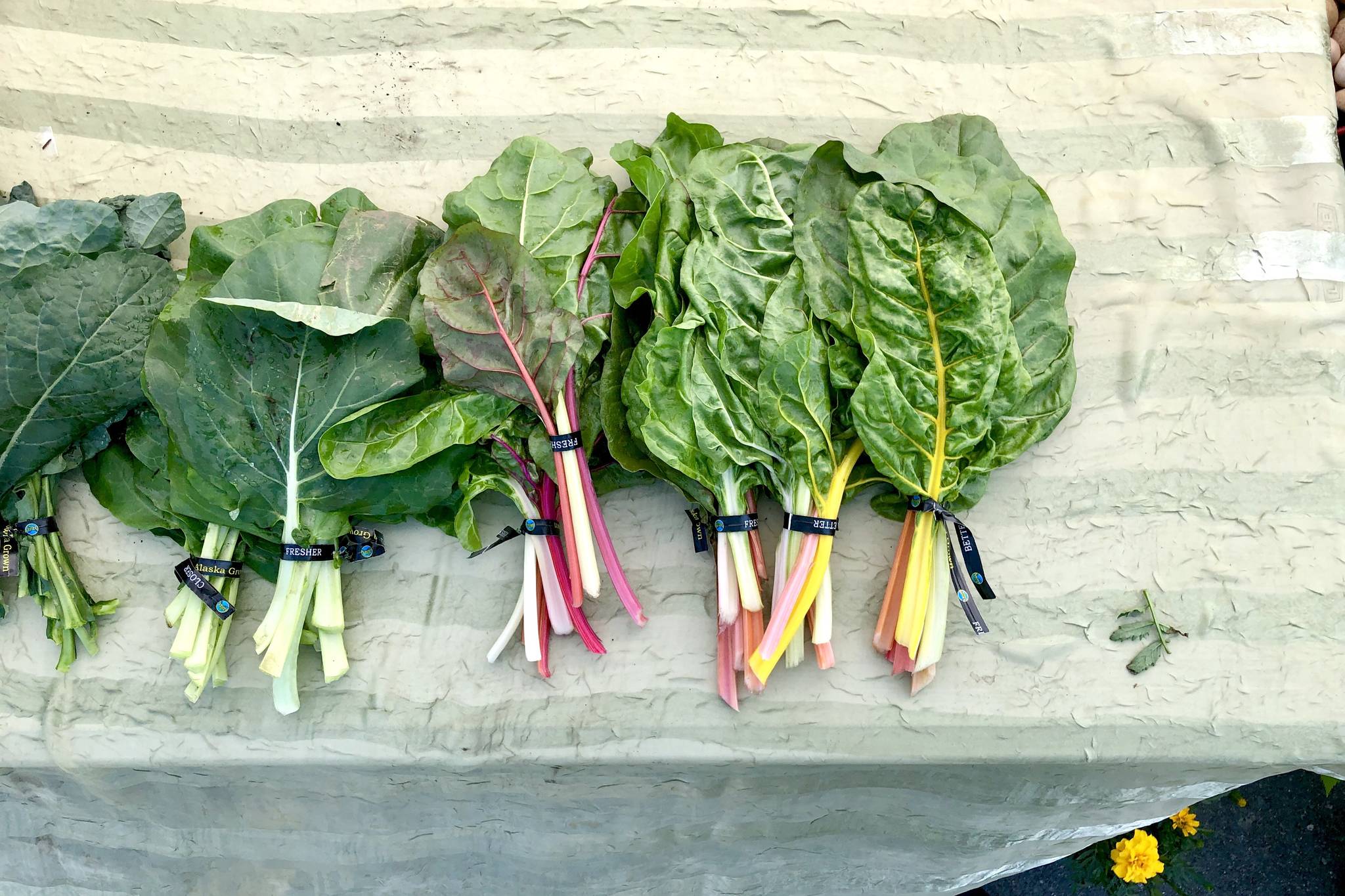 Bunches of fresh greens are displayed at the first Farmers Fresh Market of the season on Tuesday, June 11, 2019 at the Kenai Peninsula Food Bank near Soldotna, Alaska. (Photo by Victoria Petersen/Peninsula Clarion)