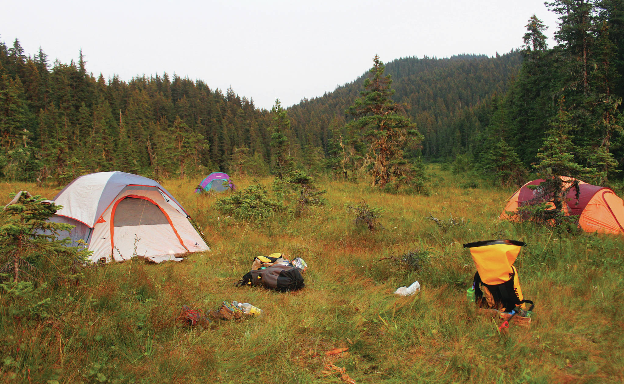 Tents are nestled into a small campsite set up at Tutka Lake in August, 2019 across Kachemak Bay from Homer, Alaska. (Photo by Megan Pacer/Homer News)