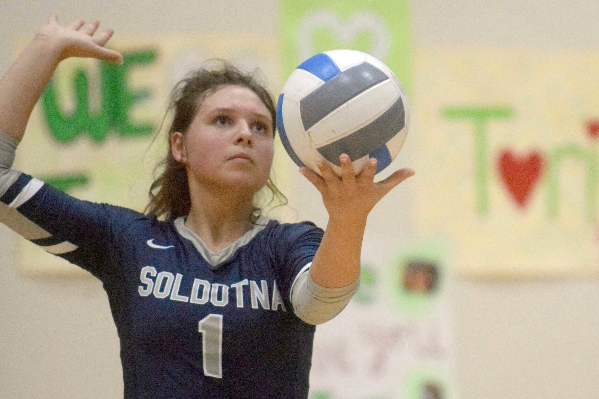 SoHi nips Palmer on ‘Tip for Tori Night’