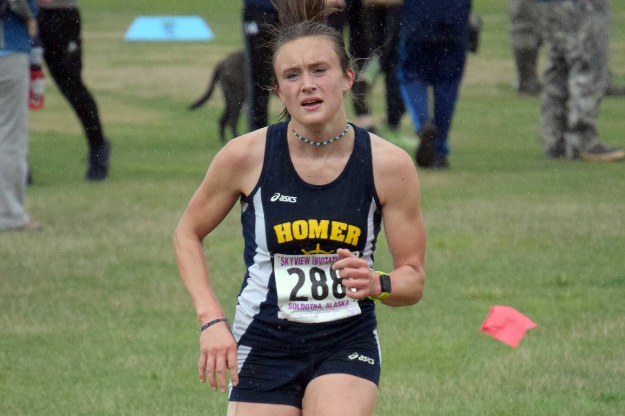 State cross-country preview: Daigle hopes hard work pays off