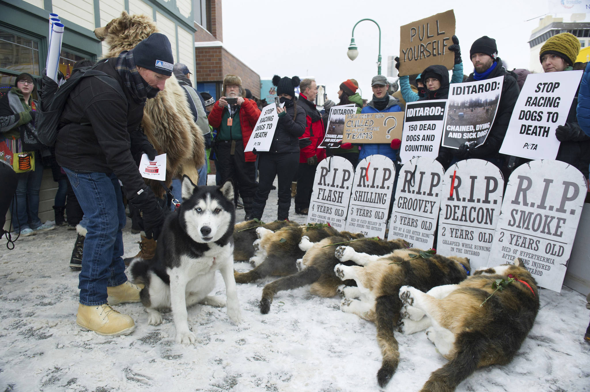 Iditarod head, PETA leader to meet