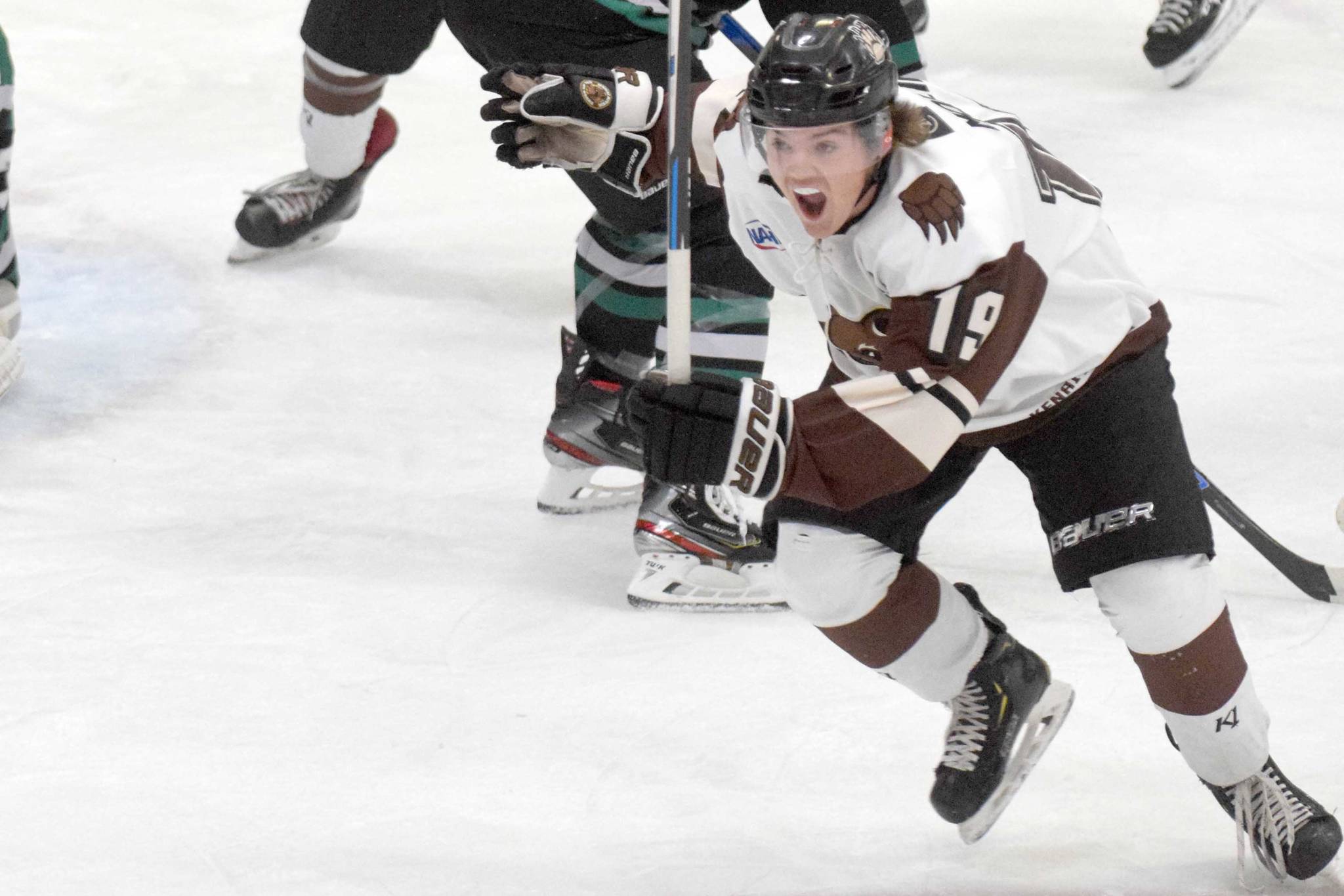 Brown Bears sweep Steel