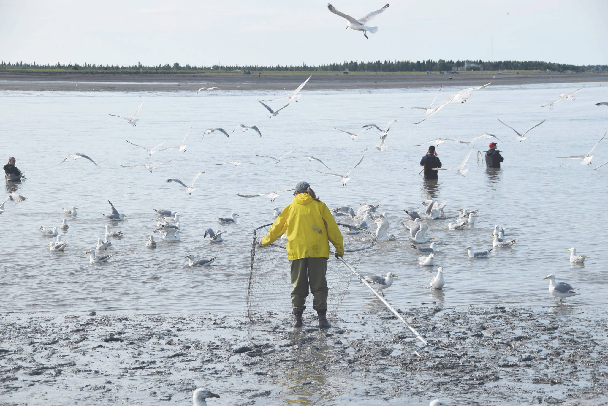 Board of Fisheries opens Susitna River to dip netting