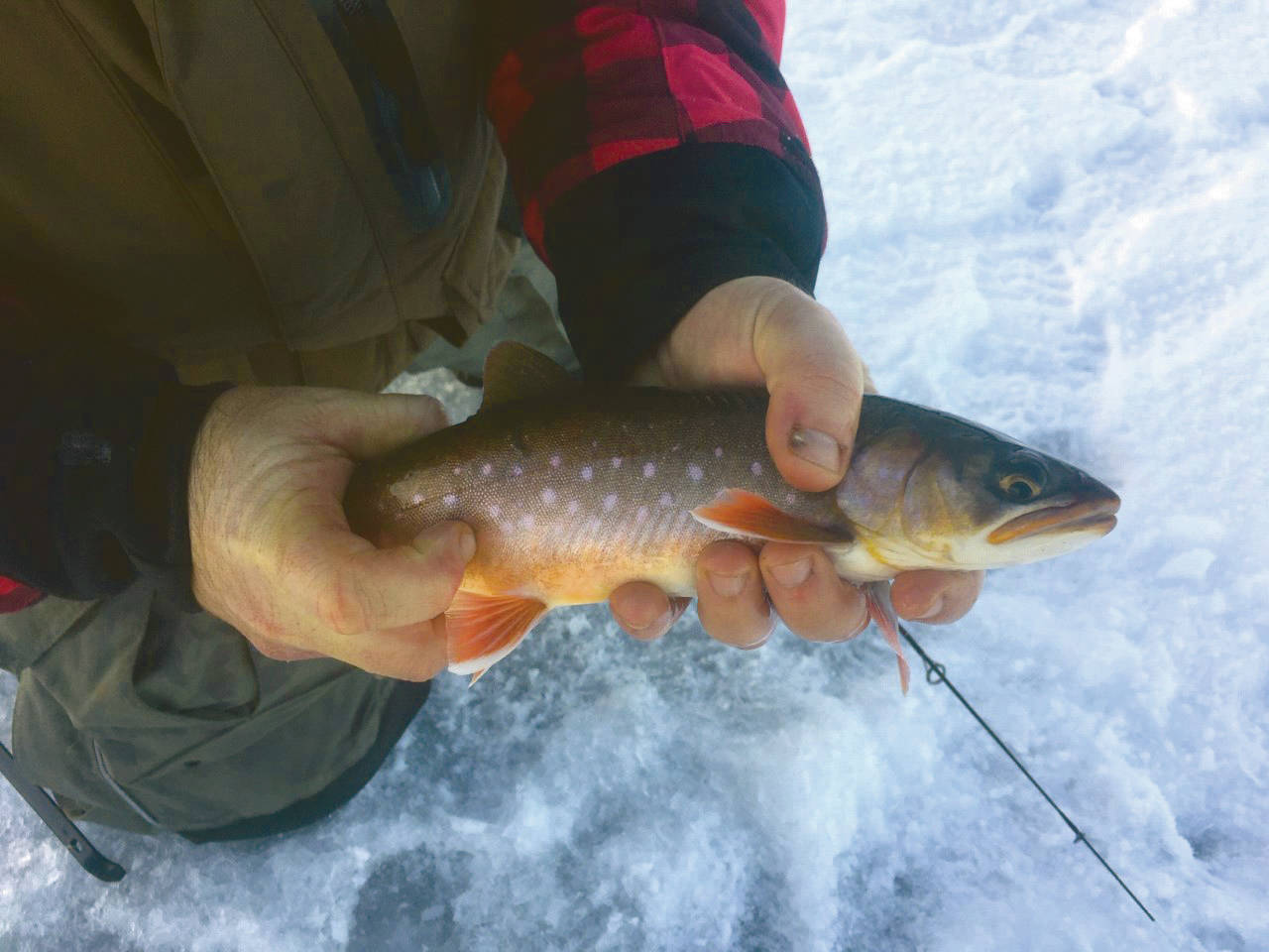 Refuge Notebook: Ice fishing the Swanson River Road area lakes
