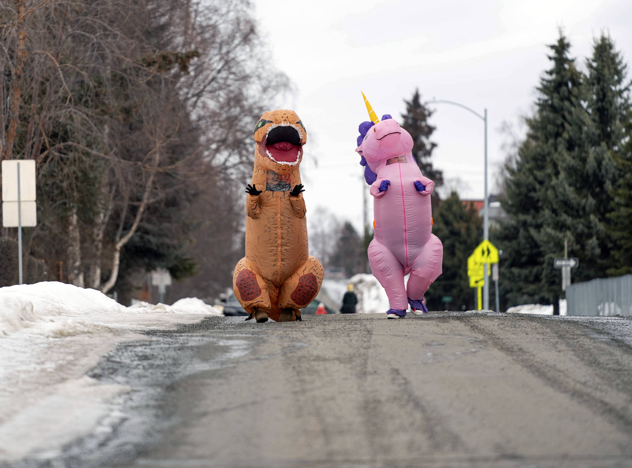 Loren Holmes / Anchorage Daily News                                 Christine Hohf, wearing a unicorn costume, and Andi Correa, wearing a dinosaur costume, walk through South Addition in Anchorage on Wednesday. Hohf, who works as a scrub tech at a surgery center, said her hours were cut due to elective surgeries being put off because of the coronavirus pandemic.