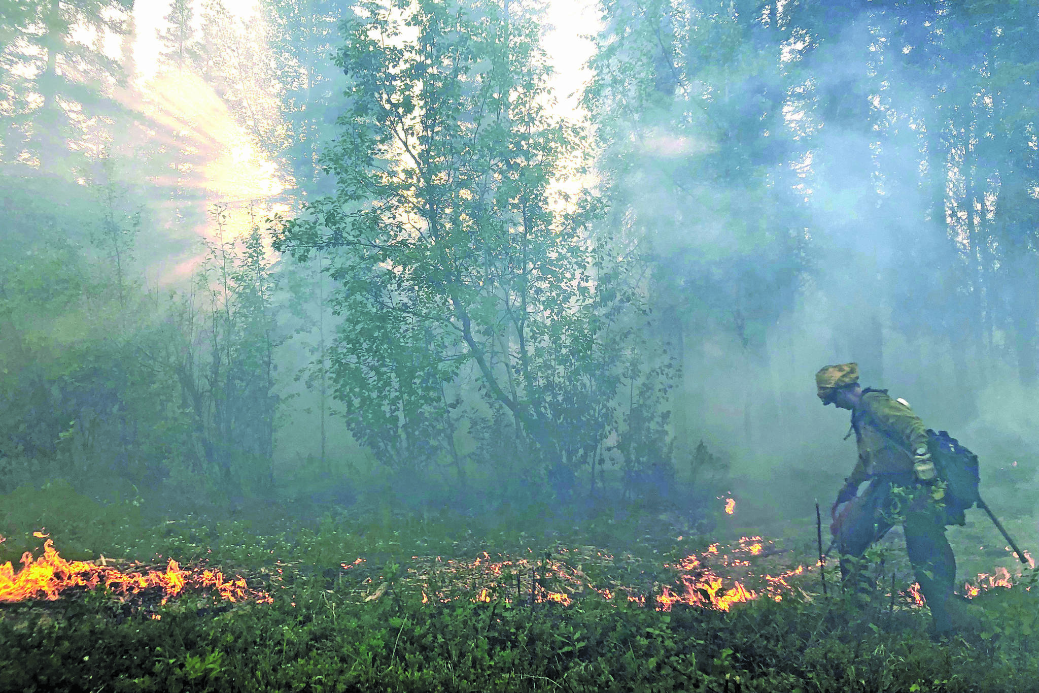 A member of the Gannet Glacier Type 2 Initial Attack Crew uses a drip torch during a burnout operation at the Swan Lake Fire on June 18, 2019. (Photo courtesy Alaska Division of Forestry)