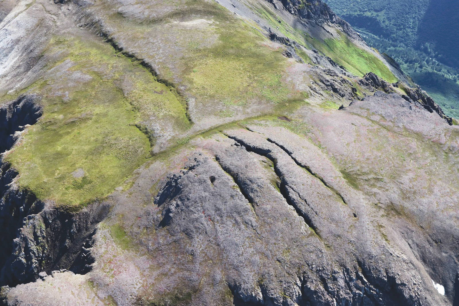 Deep fissures cross the summit of Alpine Ridge above Grewingk Lake. (Photo by Bretwood Higman)