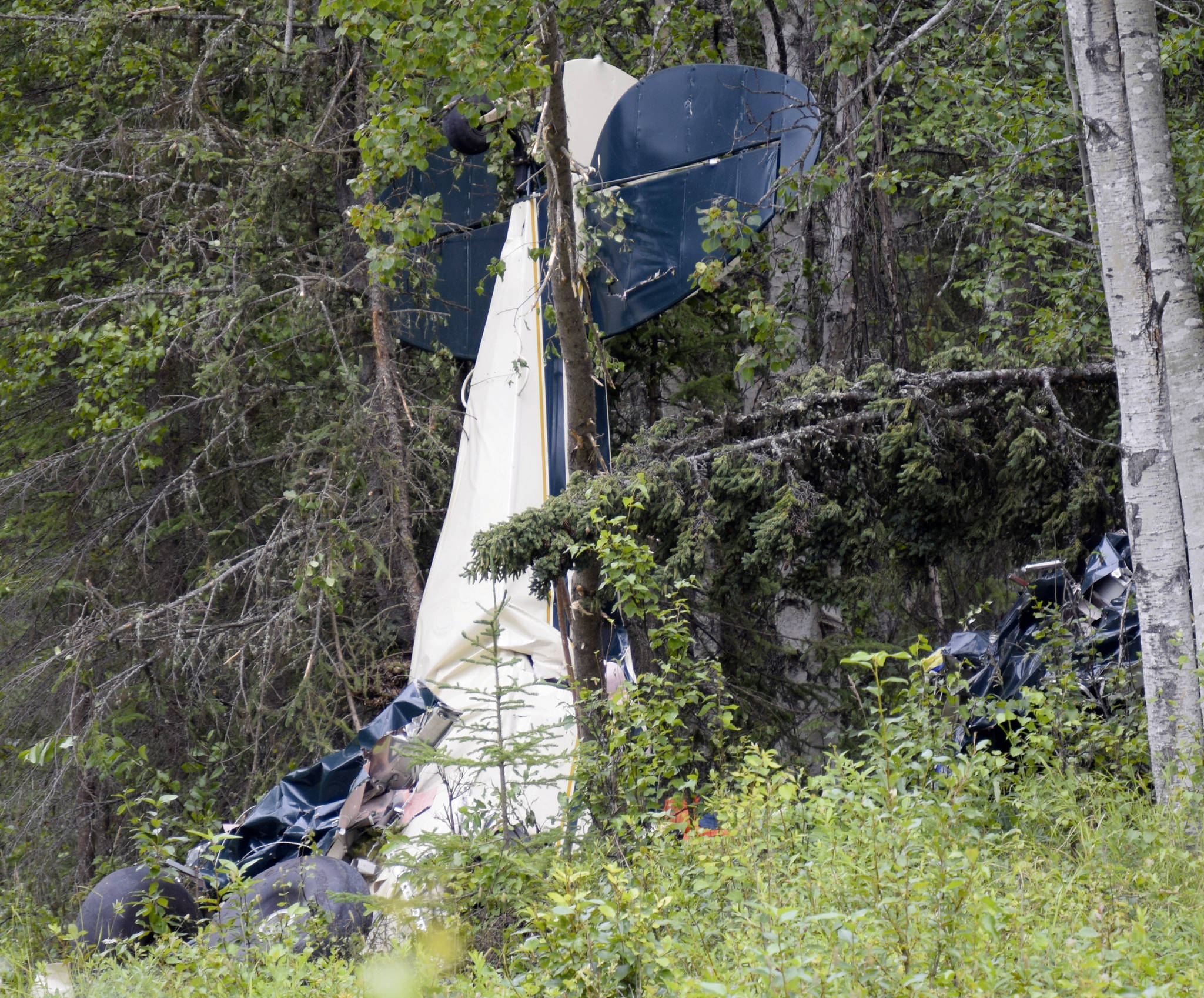 In this July 31, 2020, file photo, a plane rests in brush and trees after a midair collision outside of Soldotna, Alaska. State Rep. Gary Knopp, an Alaska state lawmaker who was involved in a July midair collision that killed seven people, was piloting his plane even though his medical flight certification was denied eight years ago because of vision problems, the National Transportation Safety Board reported Tuesday, Aug. 25, 2020. (Jeff Helminiak/Peninsula Clarion via AP, F-le)