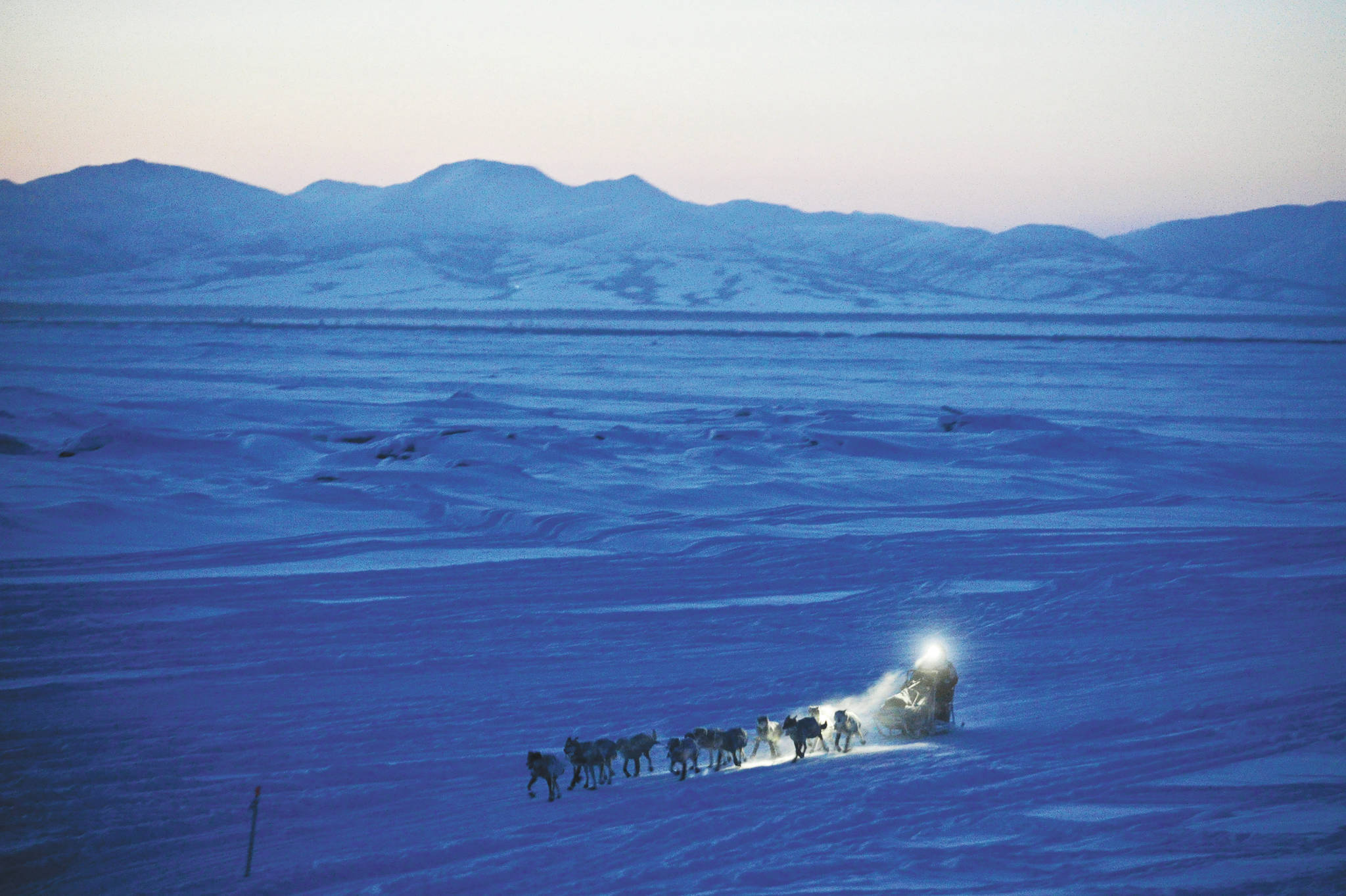 Marc Lester/Anchorage Daily News via AP, File 
In this March 11, 2012, file photo, Dallas Seavey pulls in to the checkpoint in Unalakleet, during the Iditarod Trail Sled Dog Race.