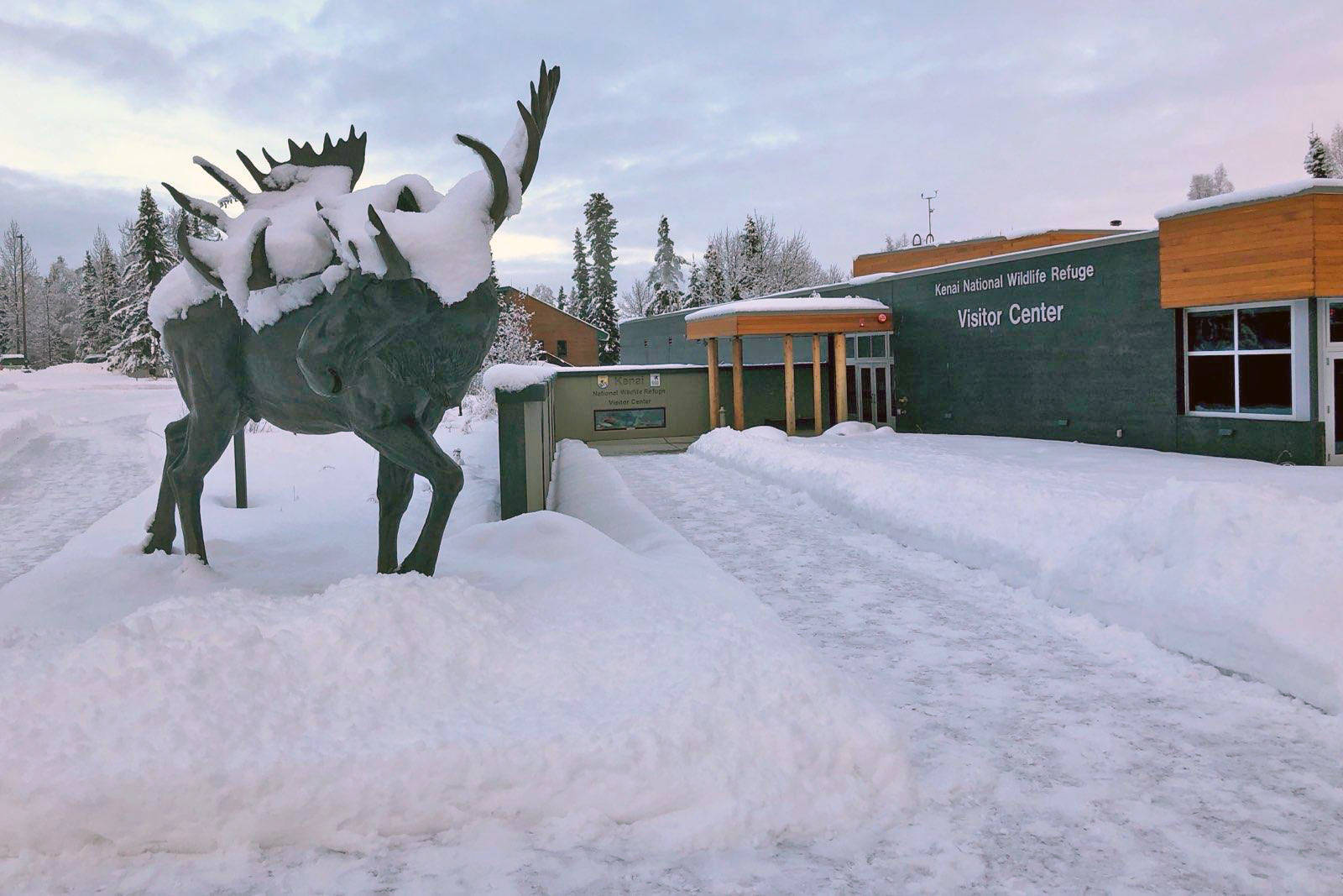 Tthe Kenai National Wildlife Refuge in Soldotna, Alaska, is pictured on Wednesday, Jan. 30, 2019. (Photo by Victoria Petersen/Peninsula Clarion)