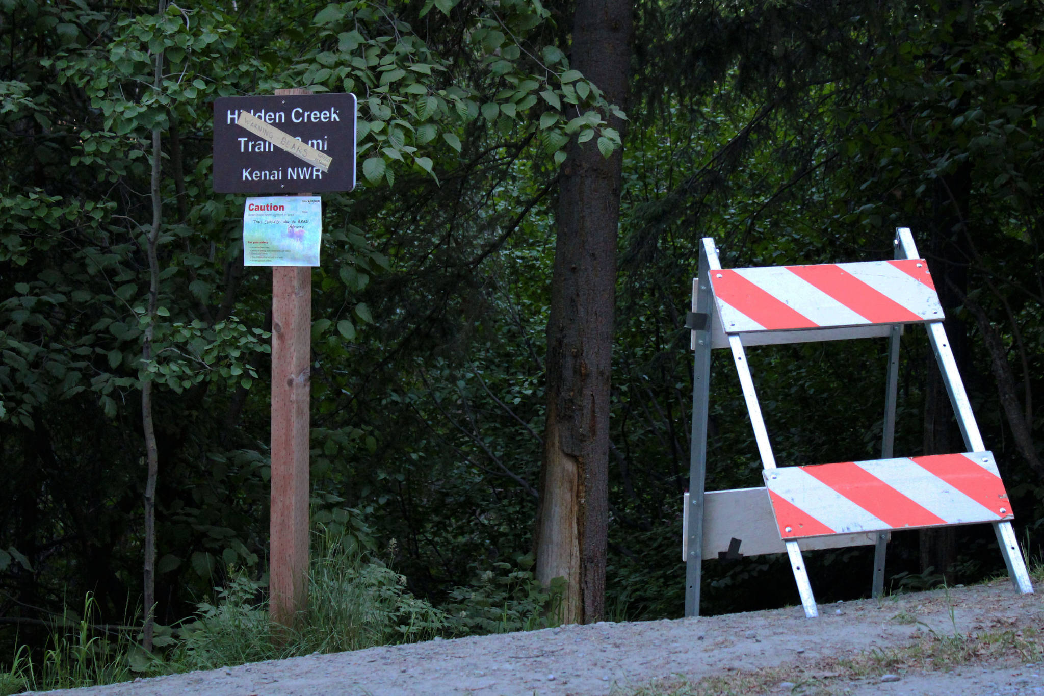 A sign and road blocker at the head of the Hidden Creek Trail on Skilak Lake Road warns people about bear activity on Sunday, June 13, 2021 in Alaska. (Ashlyn O’Hara/Peninsula Clarion)