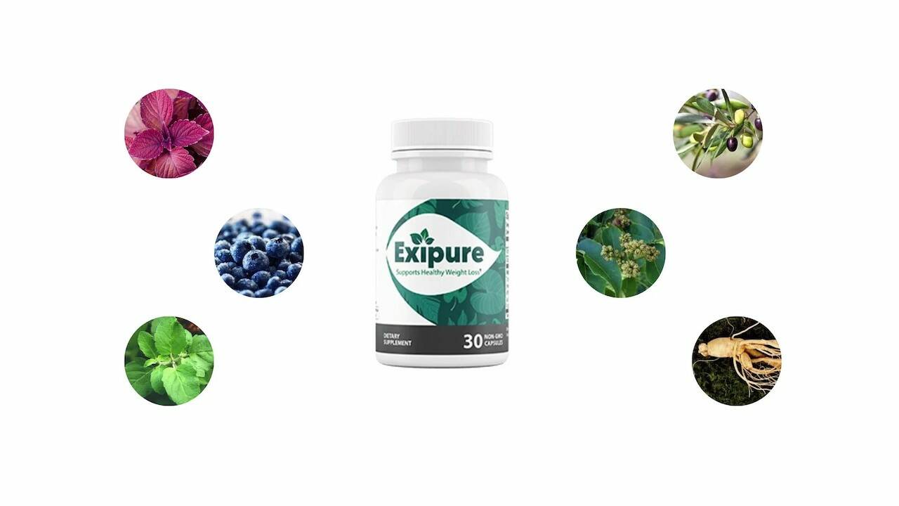 Exipure - Health Benefits, Dosage, Side Effects, Reviews