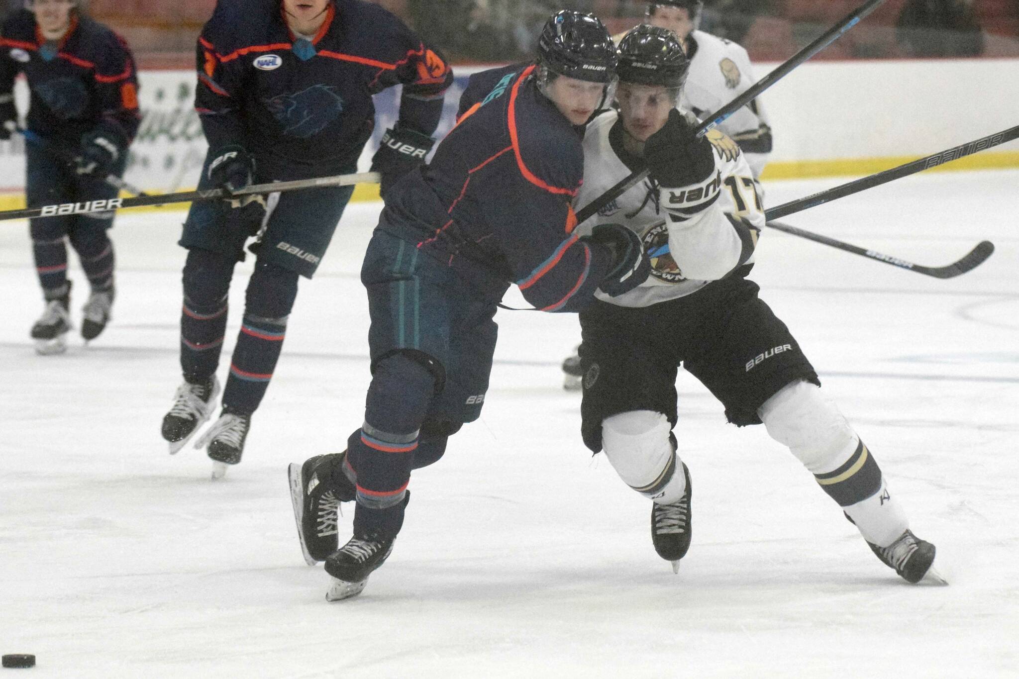 Anchorage Wolverines defenseman Danny Reis and Kenai River Brown Bears defenseman Carter Green battle for the puck Friday, Nov. 5, 2021, at the Soldotna Regional Sports Complex in Soldotna, Alaska. (Photo by Jeff Helminiak/Peninsula Clarion)