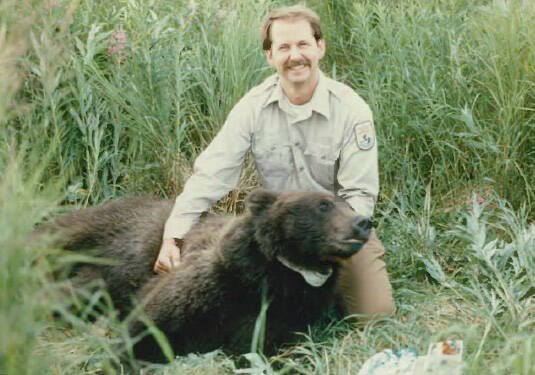 Ed Bangs in 1984 with the first female brown bear radio-collared on the Kenai. (Photo courtesy USFWS)