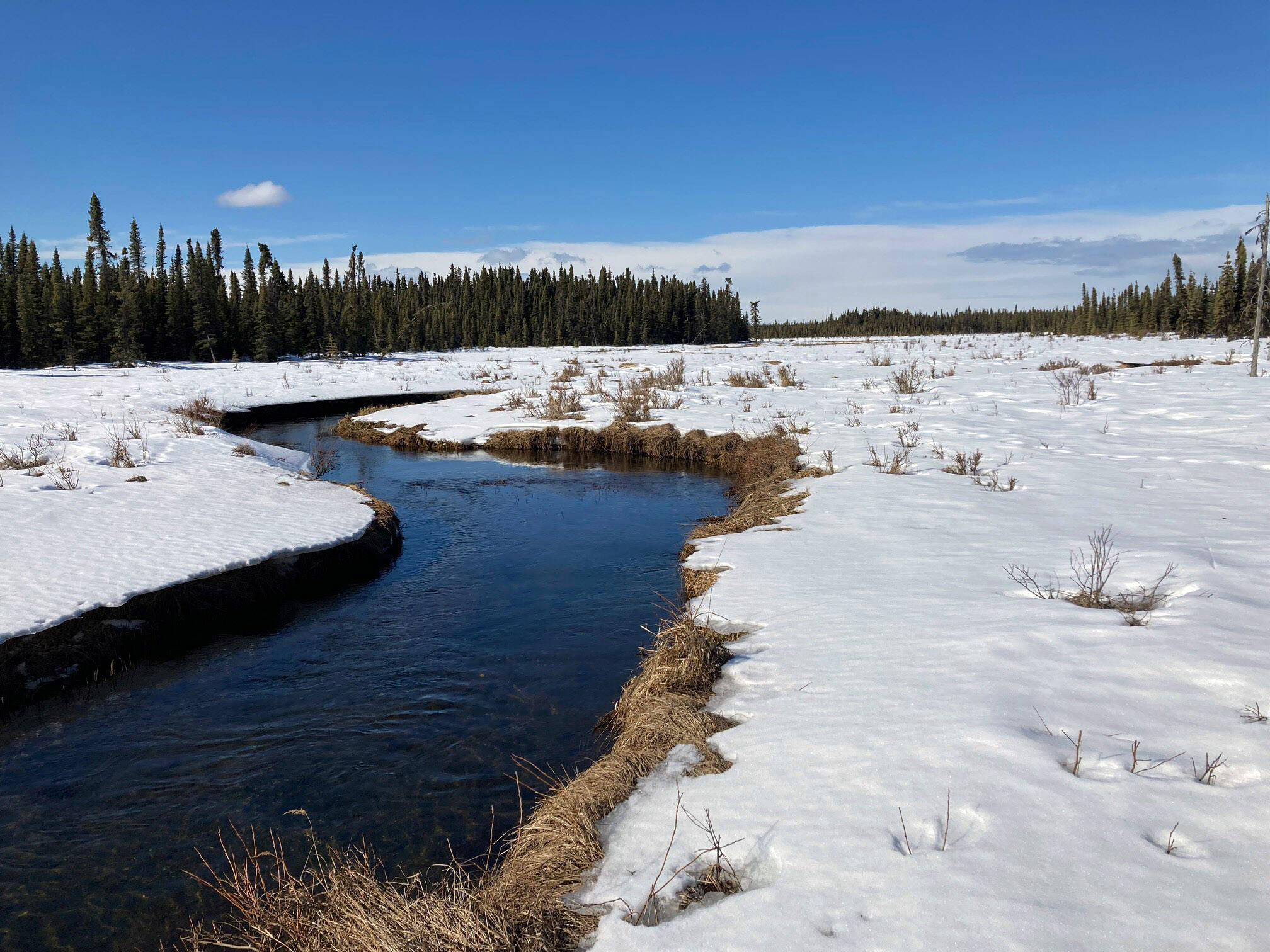 The west fork of the Moose River in the Kenai National Wildlife Refuge, March 23, 2022. (Photo by Jeff Helminiak/Peninsula Clarion)