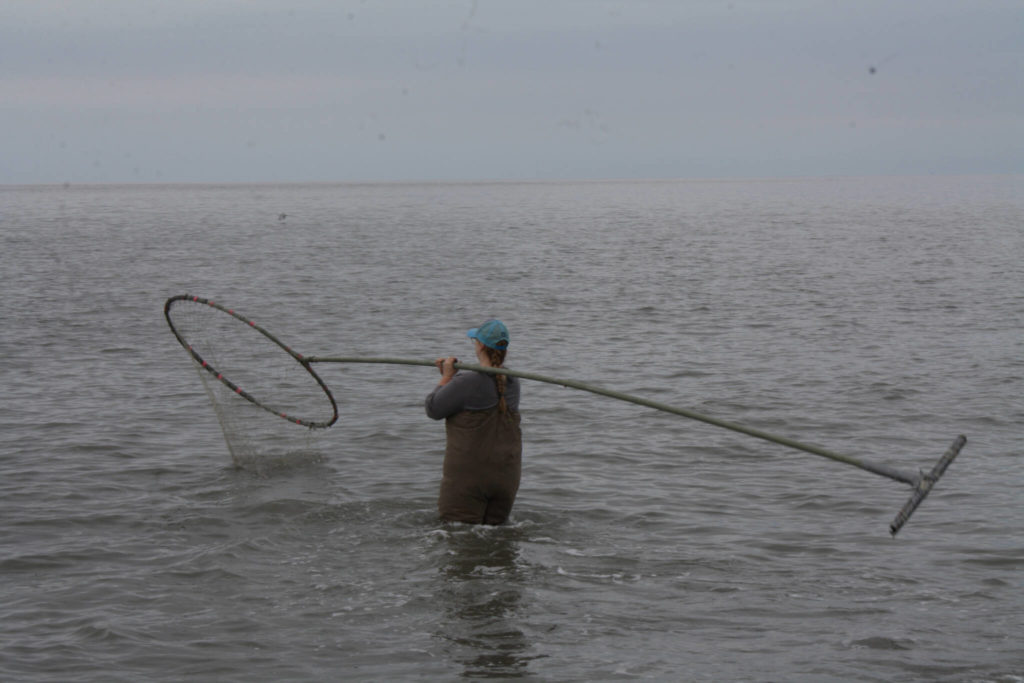 Cook Inlet Personal Use Salmon Fishery, Alaska Department of Fish