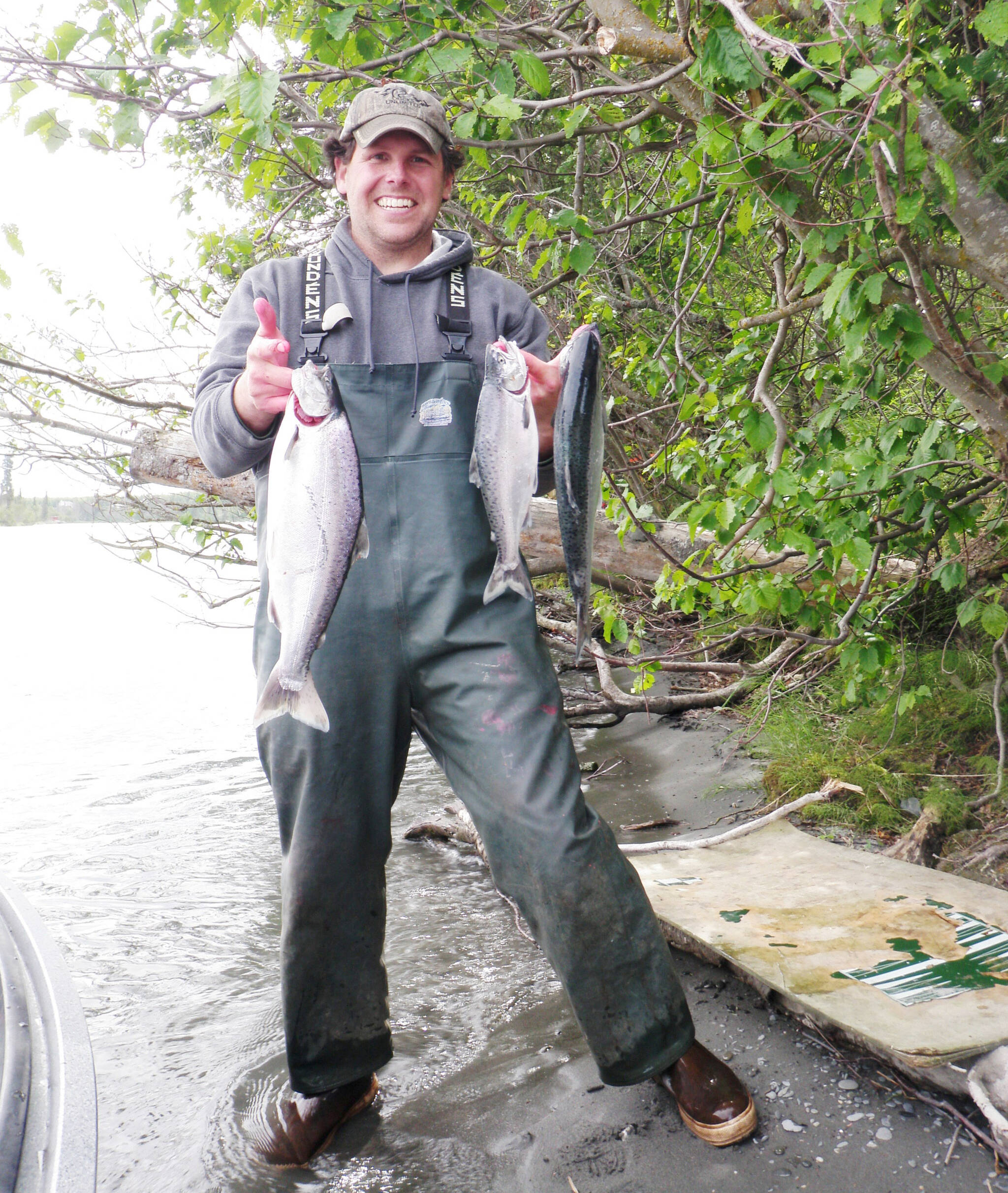 Some great examples of genetic diversity with Kenai River king salmon populations. (Photo by Ken Gates)