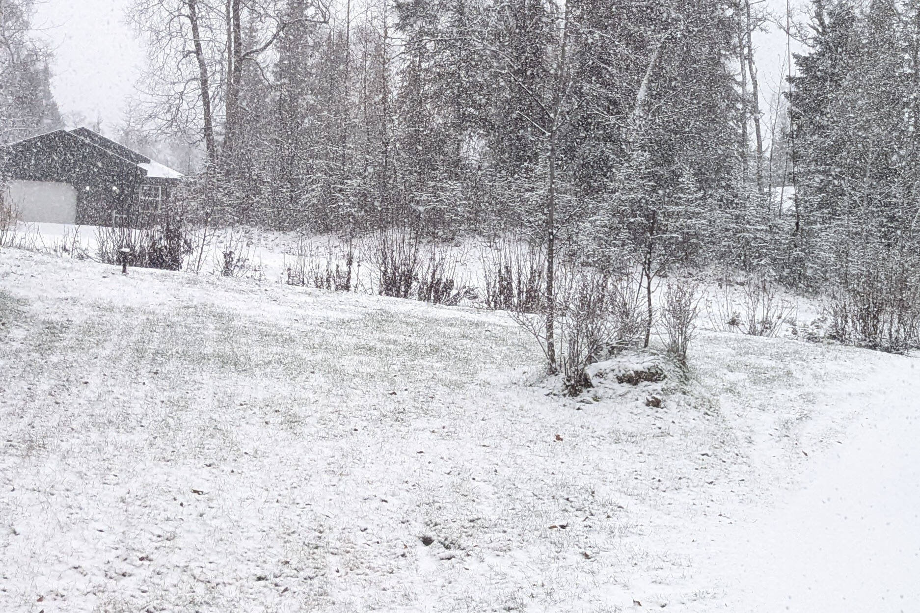 The first snowfall of the year arrives in Kenai, Alaska, on Oct. 25, 2022. (Photo by Erin Thompson/Peninsula Clarion)