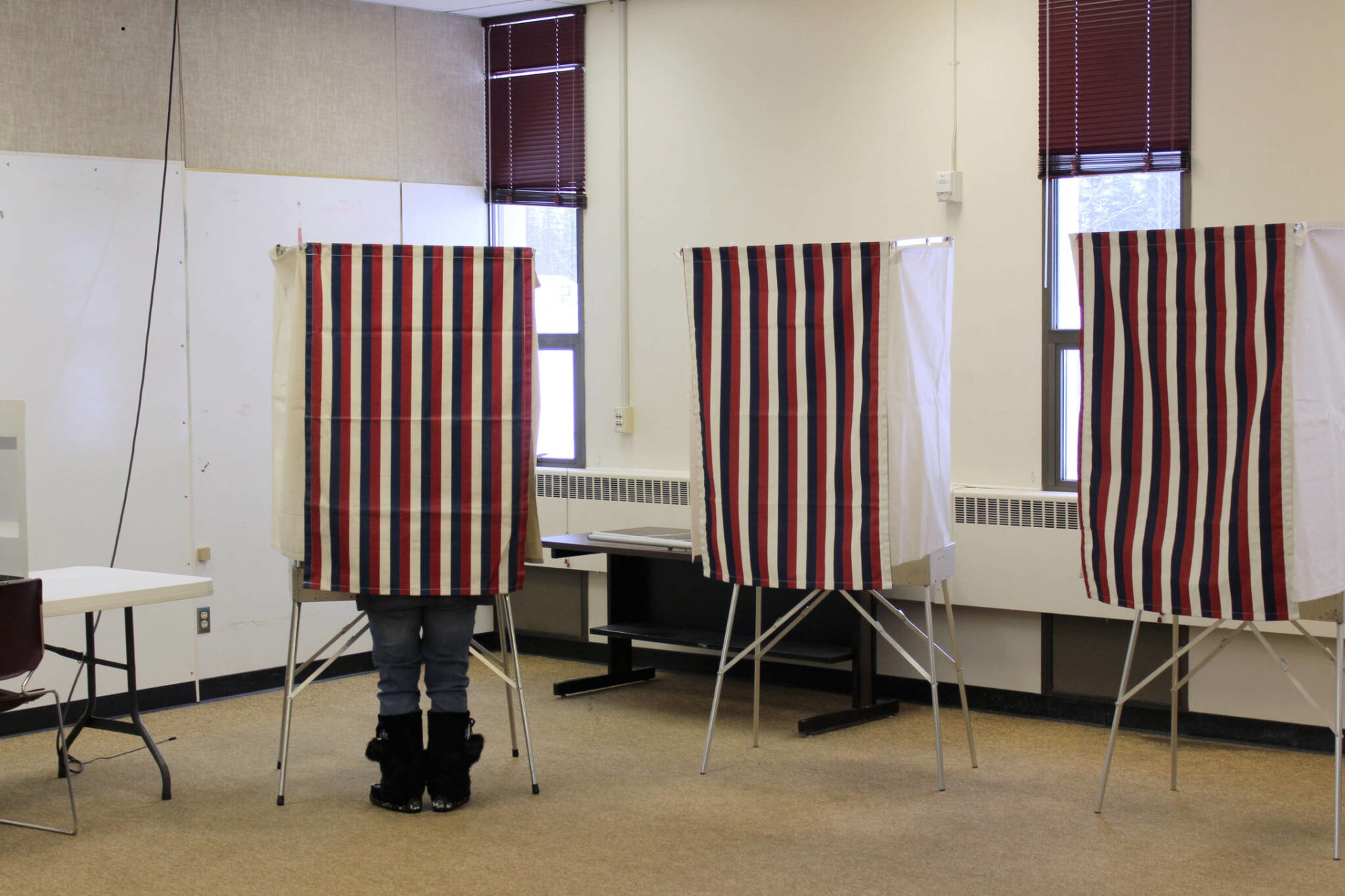 Special mayor election saw 13.1% voter turnout | Peninsula Clarion