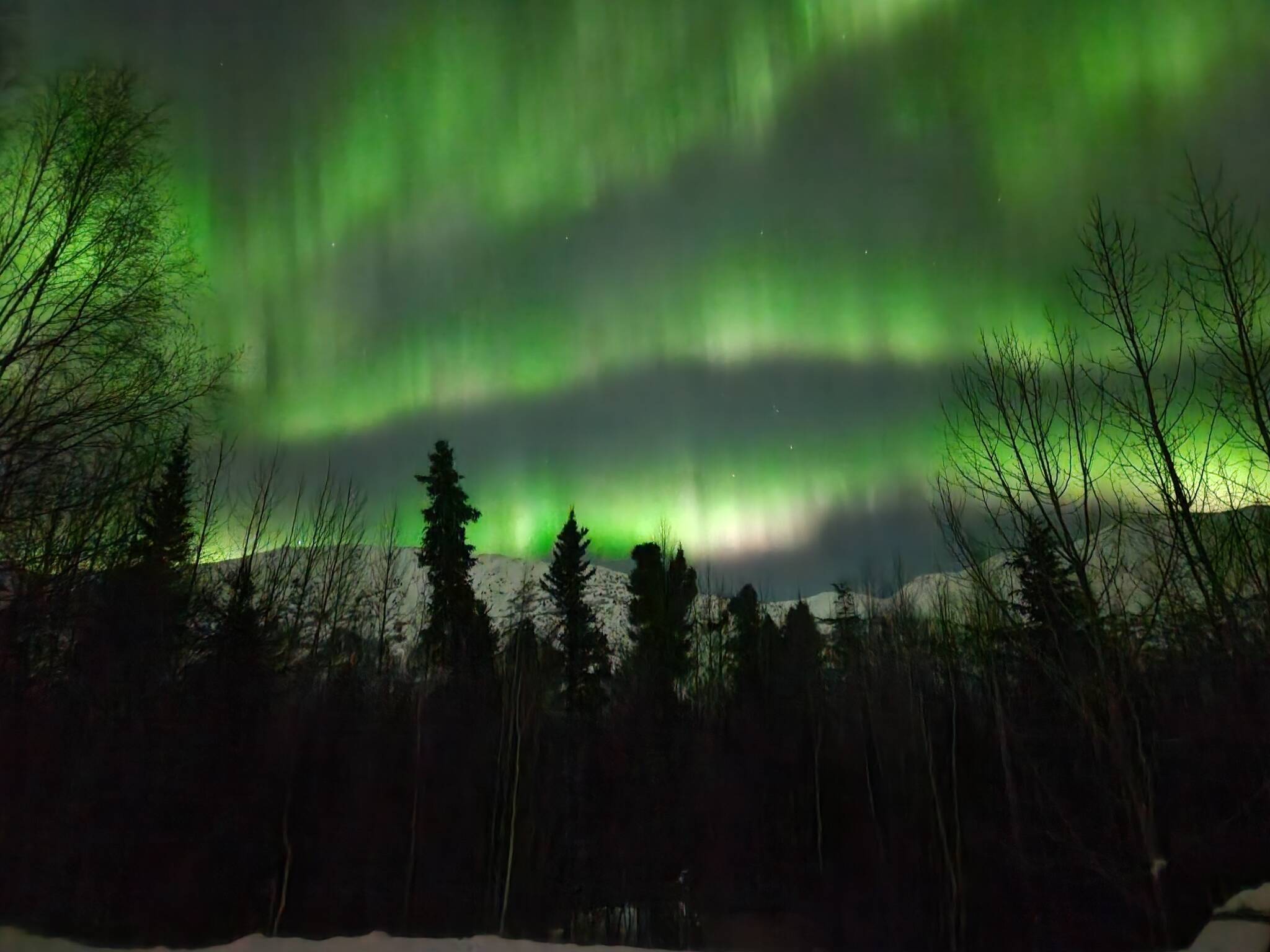 Aurora borealis shine over Cooper Landing on Sunday. Feb. 26, 2023, in Cooper Landing, Alaska. (Photo courtesy Virginia Morgan)