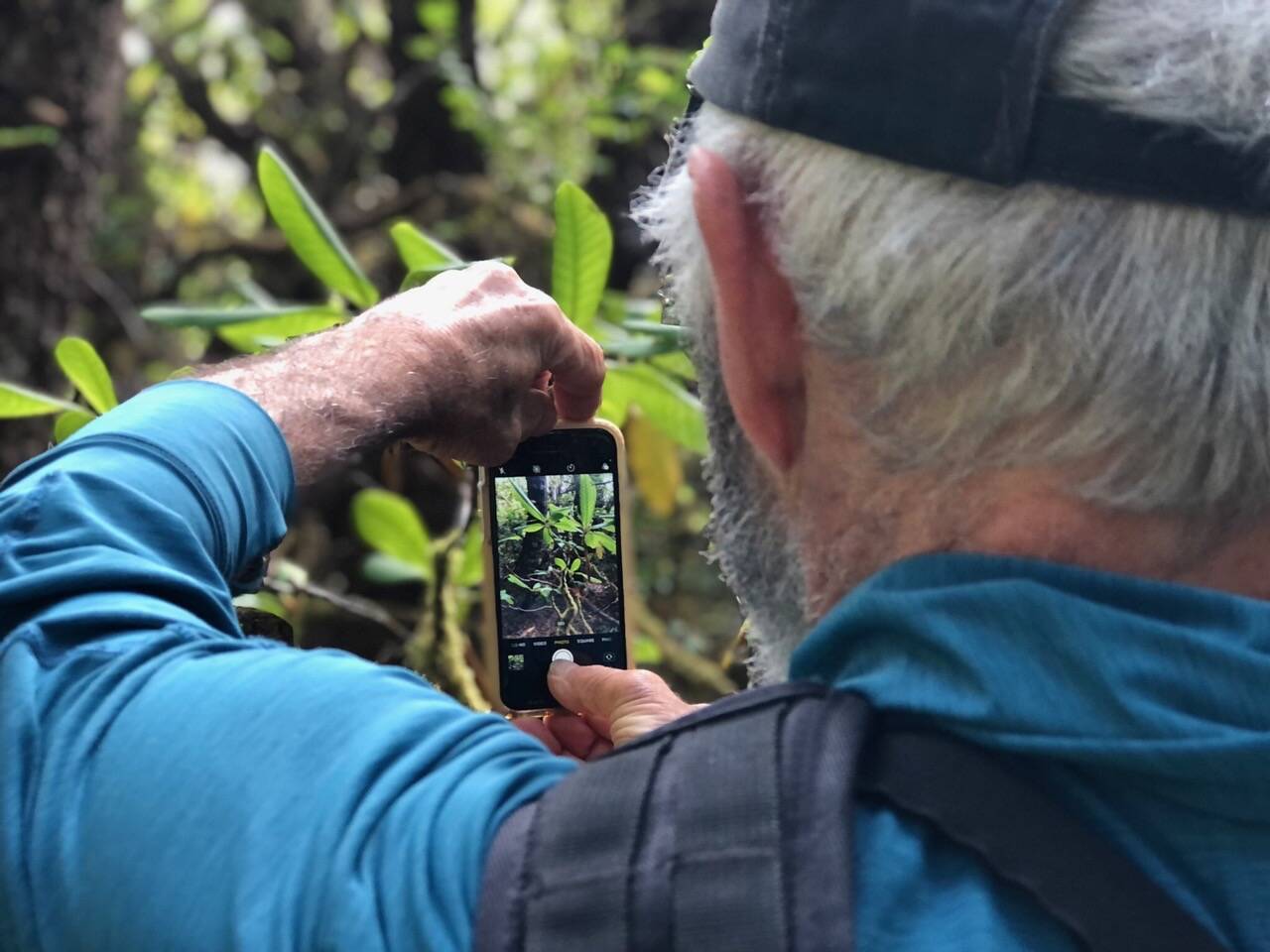 Dale Chorman takes a photo of a plant. (Photo provided by Tom Kizzia)