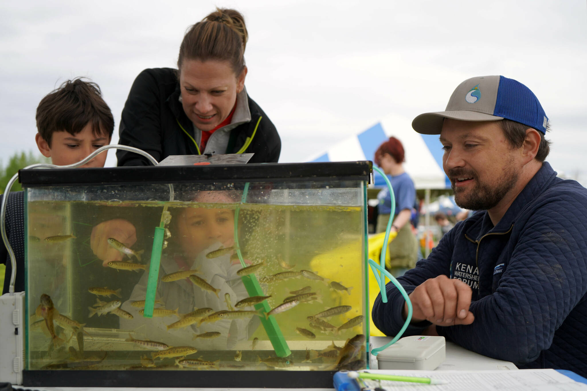 Ben Meyer, environmental scientist and water quality coordinator for the Kenai Watershed Forum, teaches children about young salmon freshly pulled from the Kenai River during the Kenai River Fair at Soldotna Creek Park in Soldotna, Alaska, on Saturday, June 7, 2024. (Jake Dye/Peninsula Clarion)