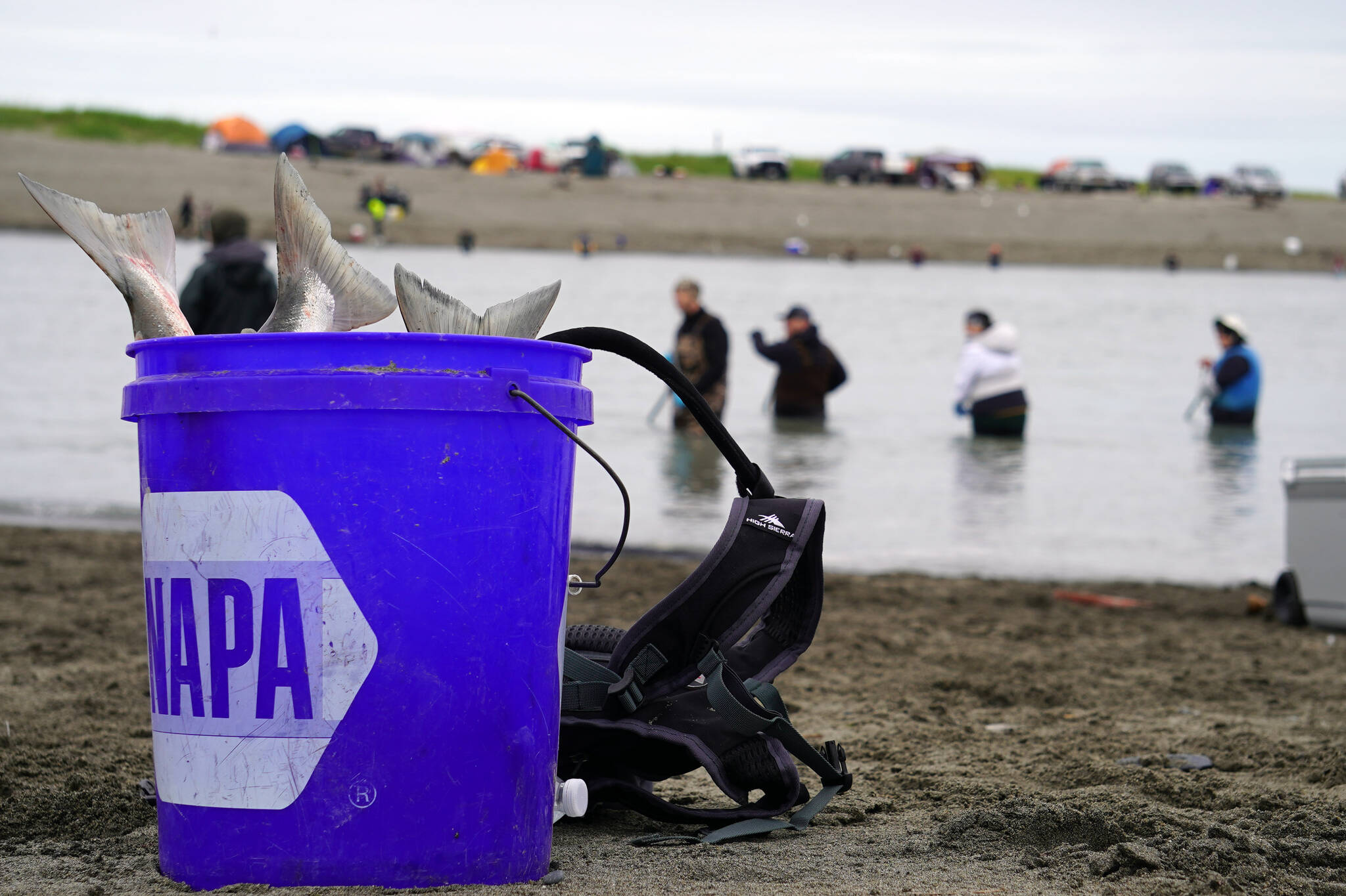 A bucket of recently caught sockeye salmon rests on the sand while anglers seek to fill it further at the mouth of the Kasilof River on Monday, June 26, 2023, in Kasilof, Alaska. (Jake Dye/Peninsula Clarion)