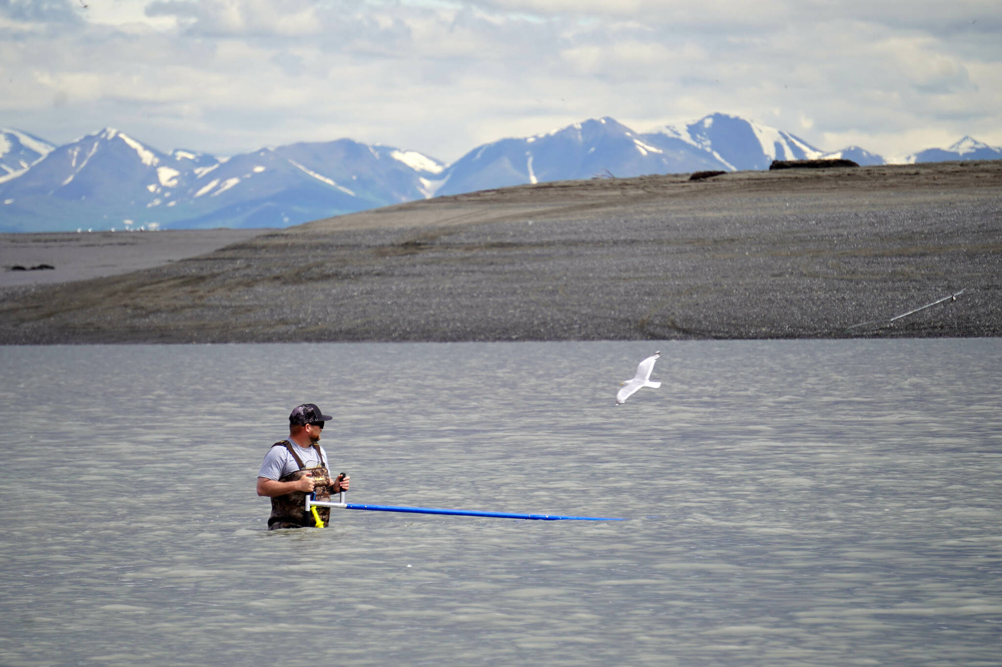 A fisher stands with net extended in the Kenai River in Kenai, Alaska, on Wednesday, July 10, 2024. (Jake Dye/Peninsula Clarion)