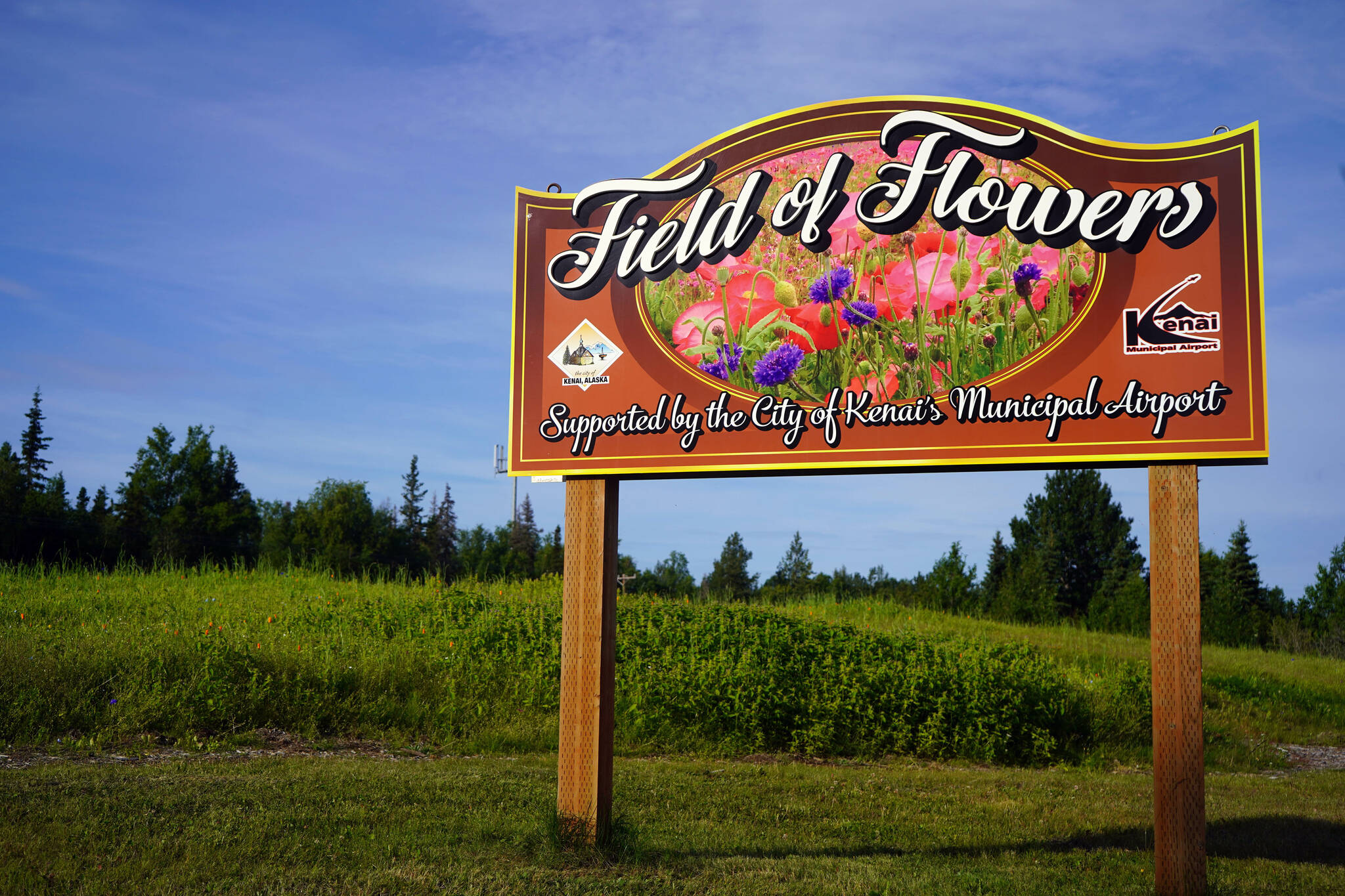 A sign marks Kenai’s Field of Flowers in Kenai, Alaska, on Friday, Aug. 2, 2024. (Jake Dye/Peninsula Clarion)