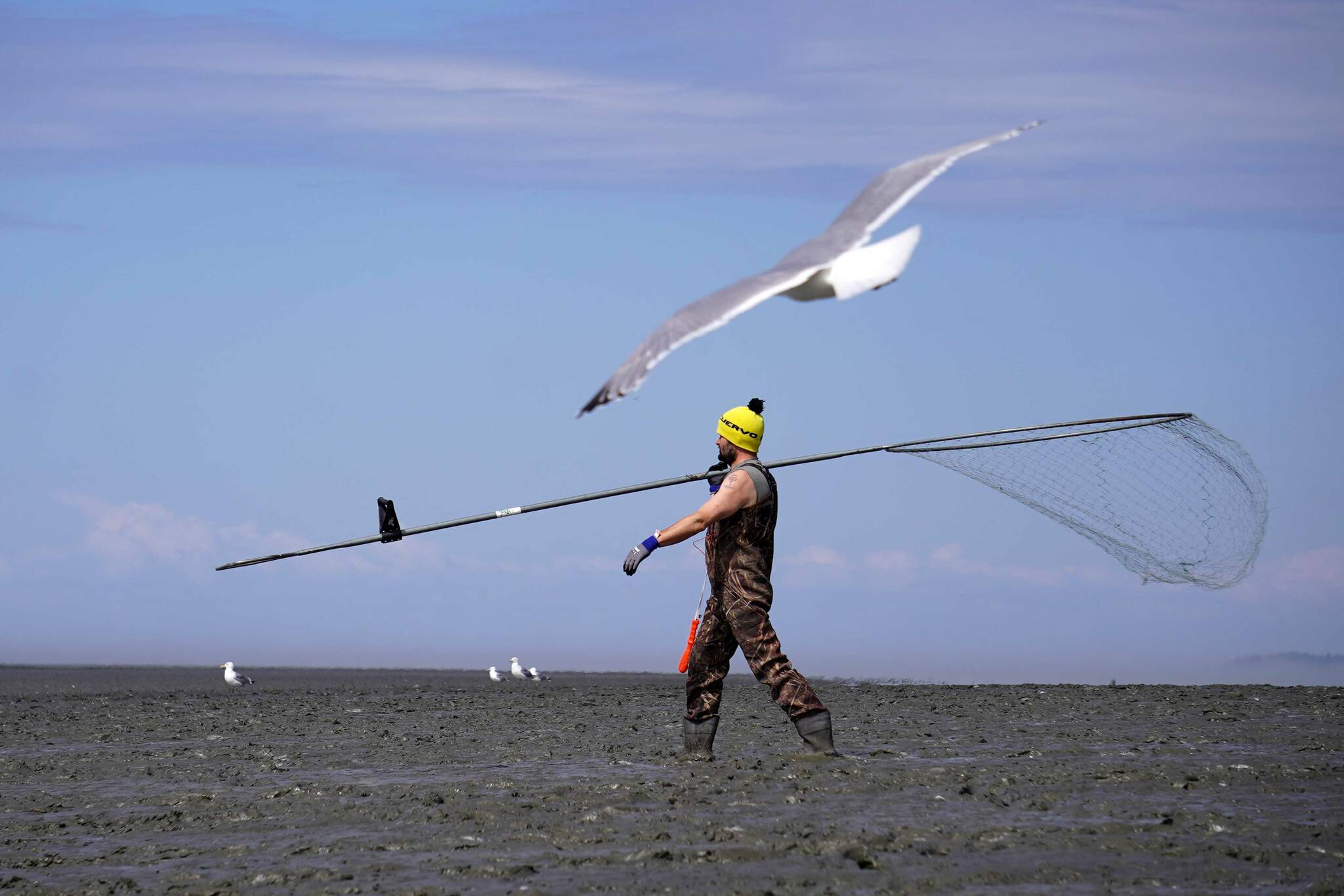 A fisher carries his net across a muddy beach during the opening day of the personal use dipnet fishery at the mouth of the Kasilof River in Alaska, on Tuesday, June 25, 2024. (Jake Dye/Peninsula Clarion)