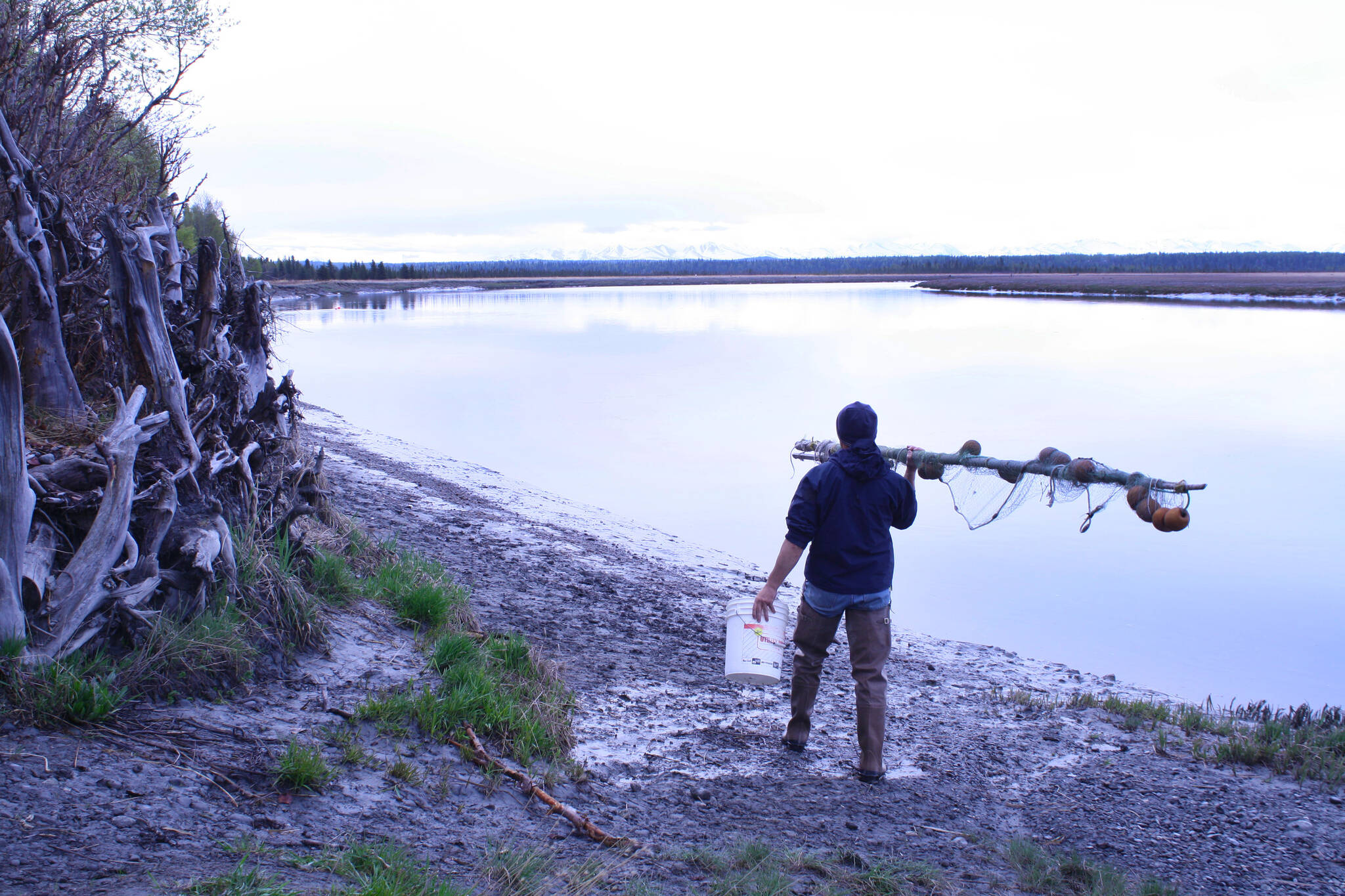 A lone hooligan fisherman heads upstream on the lower Kenai River to try his luck from Cunningham Memorial Park. (Clark Fair photo)