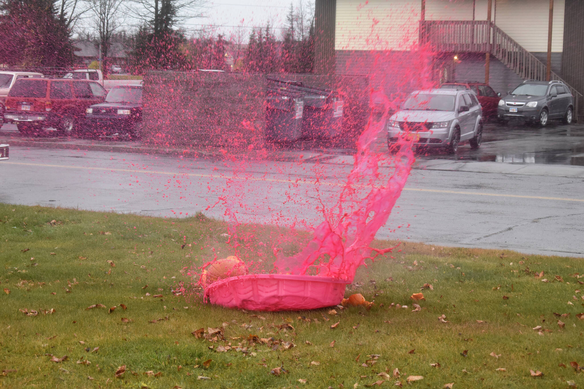 A pumkin hits target after being dropped by the vice mayor of Kenai, Henry Knackstedt, at the 9th annual Pumpkin Fall Festival in Kenai, Alaska, on Saturday, Oct. 12, 2024. (Photo by Jonas Oyoumick/Peninsula Clarion)