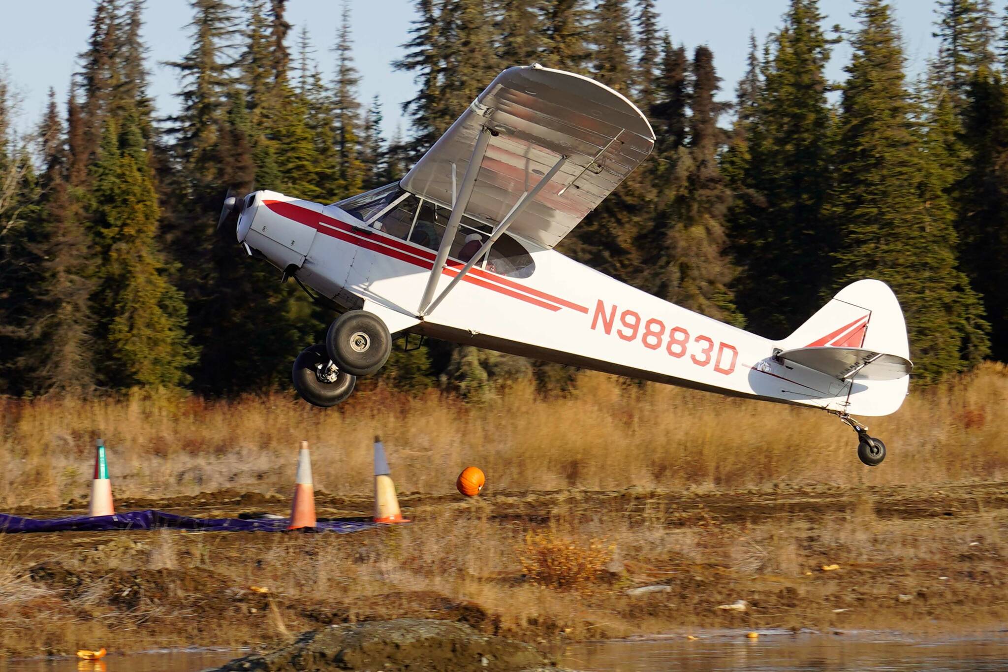 A pumpkin tumbles from a plane above the Kenai Airpark near Kenai, Alaska, during the Sixth Annual Kenai Aviation Pumpkin Drop on Saturday, Oct. 19, 2024. (Jake Dye/Peninsula Clarion)