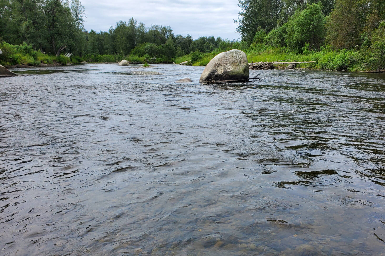 The Anchor River flows in the Anchor Point State Recreation Area on Saturday, Aug. 5, 2023, in Anchor Point, Alaska. (Delcenia Cosman/Homer News)