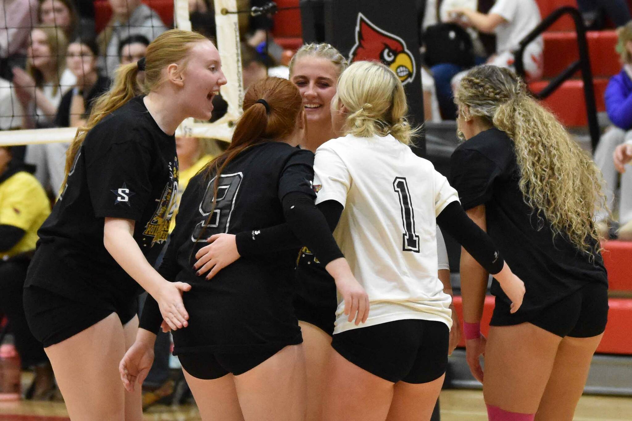 The Kenai Central volleyball team celebrates Friday, Nov. 1, 2024, against Soldotna at Kenai Central High School in Kenai, Alaska. (Photo by Jeff Helminiak/Peninsula Clarion)