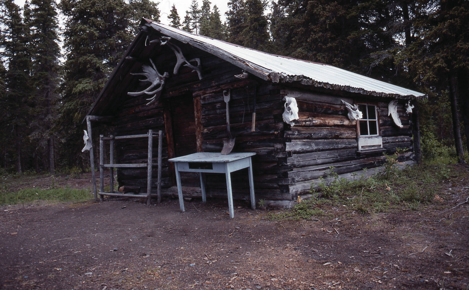 Photo by Clark Fair, 1990
This is the cabin on Pipe Creek, along the north shore of Tustumena Lake, where Harold Galliett sought shelter after surviving a commercial airlines crash in the lake in September 1965.